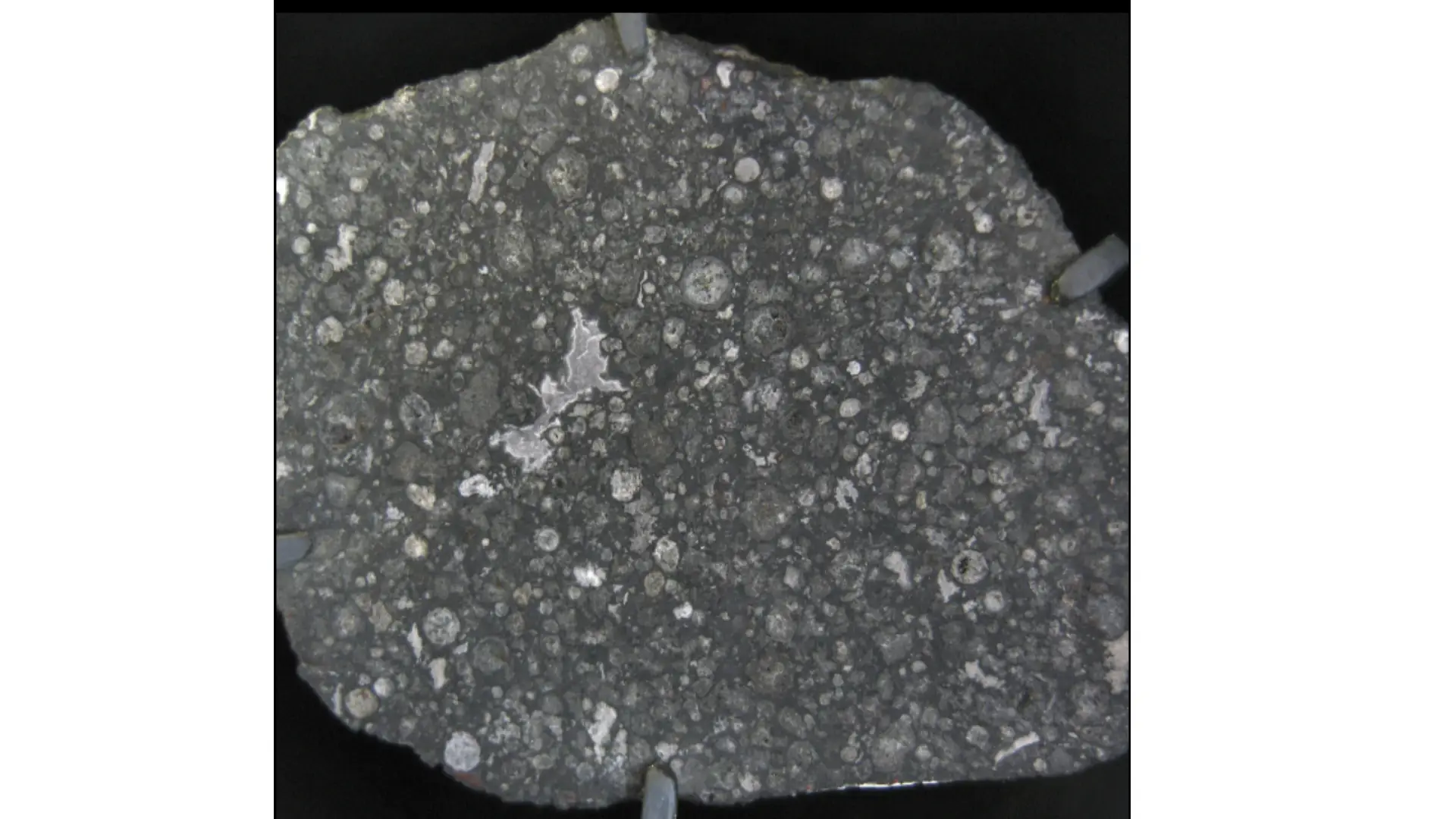 Murchison : The Meteorite Older Than the Solar System — A Cosmic Icon of NHMAD - photo 2