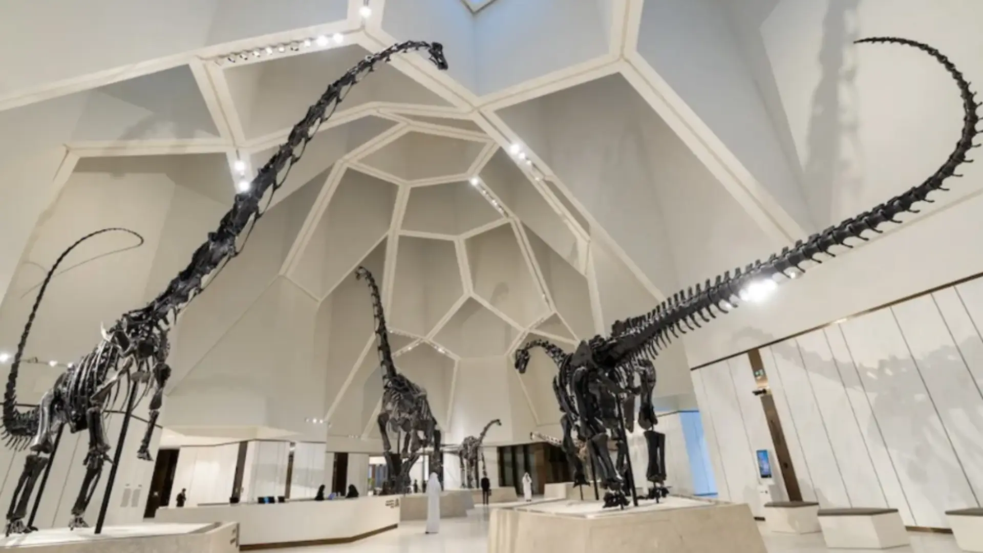 Lost in Abu Dhabi: The “Stan” T. Rex Skeleton and the Wonders of NHMAD - photo 1