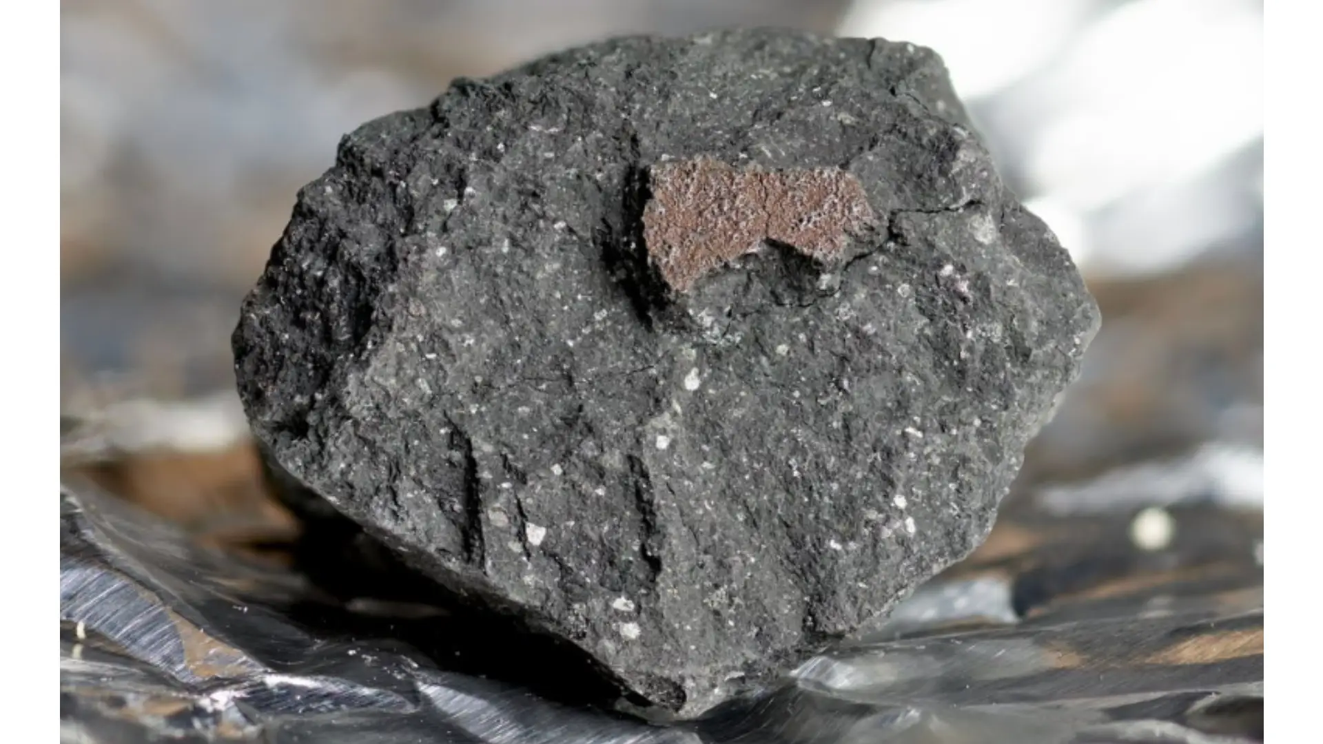 Lost in Abu Dhabi: The “Stan” T. Rex Skeleton and the Wonders of NHMAD - photo 3