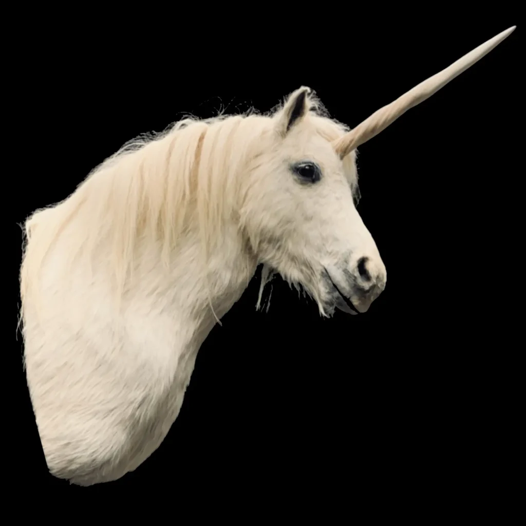 Taxidermy head of a unicorn