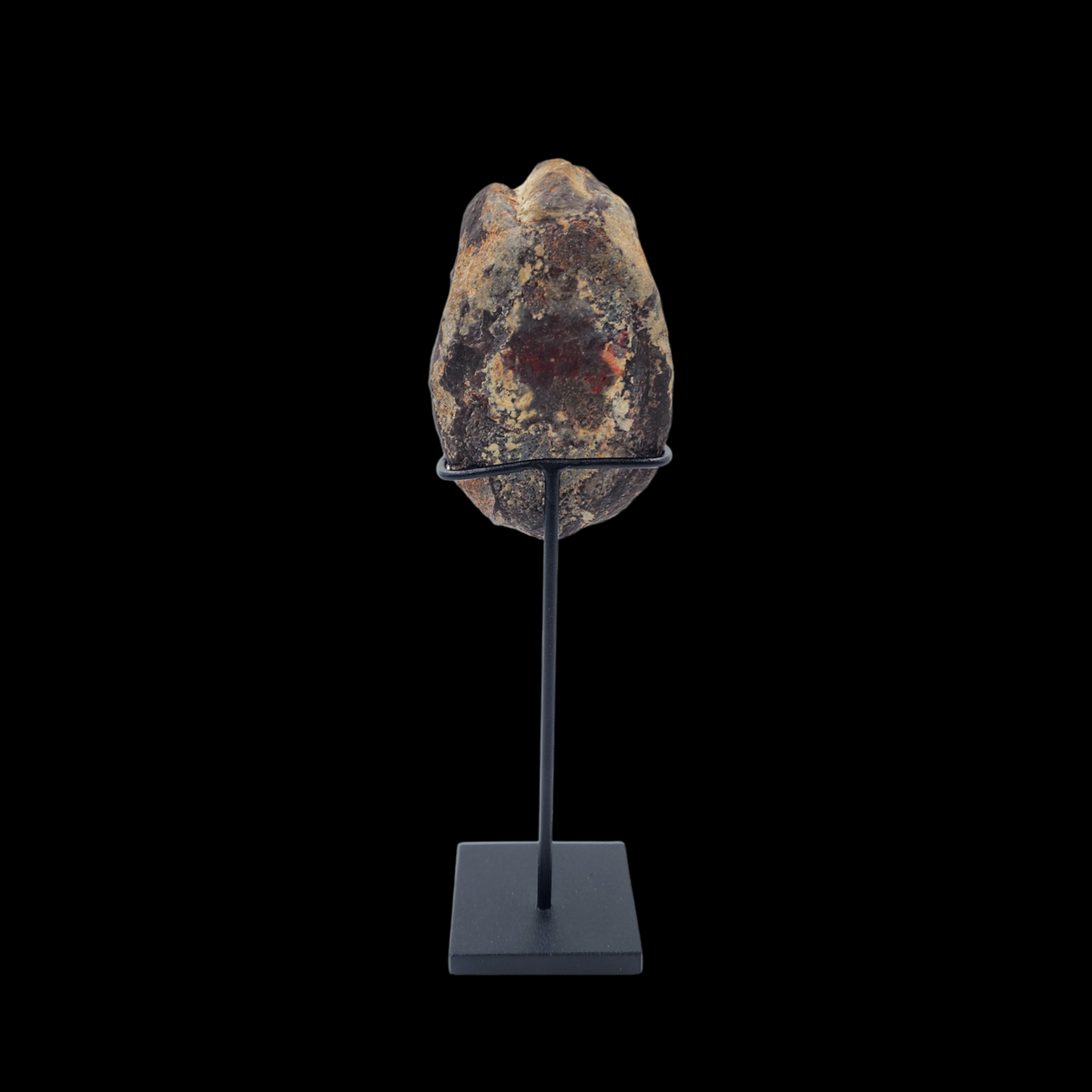 Dinosaur vertebrae - preview photo 2123