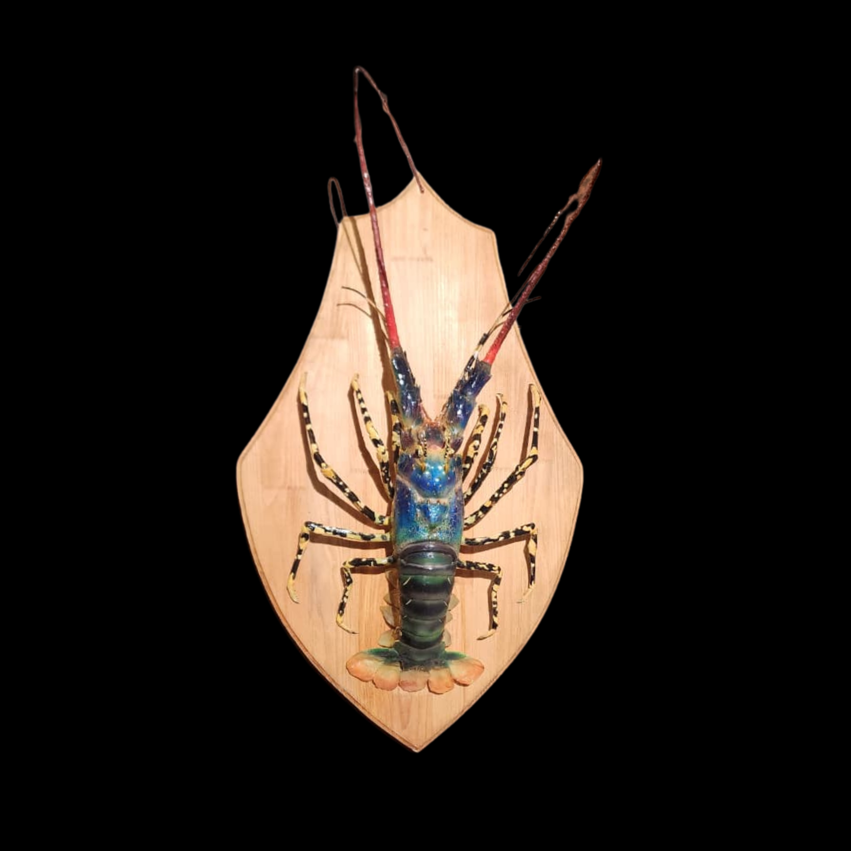 Peacock Mantis Shrimp (Odontodactylus scyllarus) – A Chromatic Masterpiece of the Coral Reef - preview photo 1123