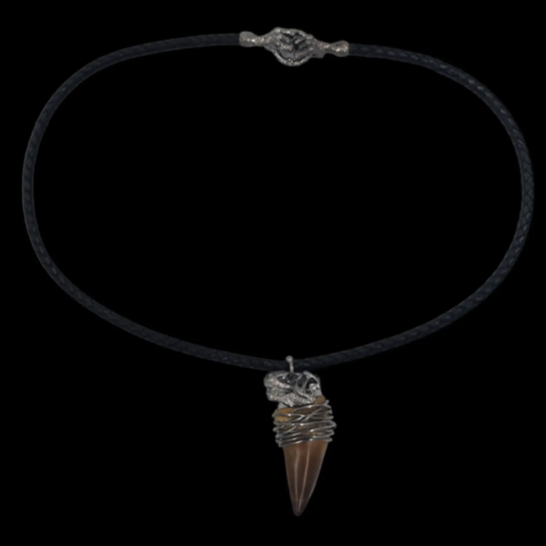 Silver pendant with Carcharodontosaurus tooth, 6.5 cm - preview photo 1123