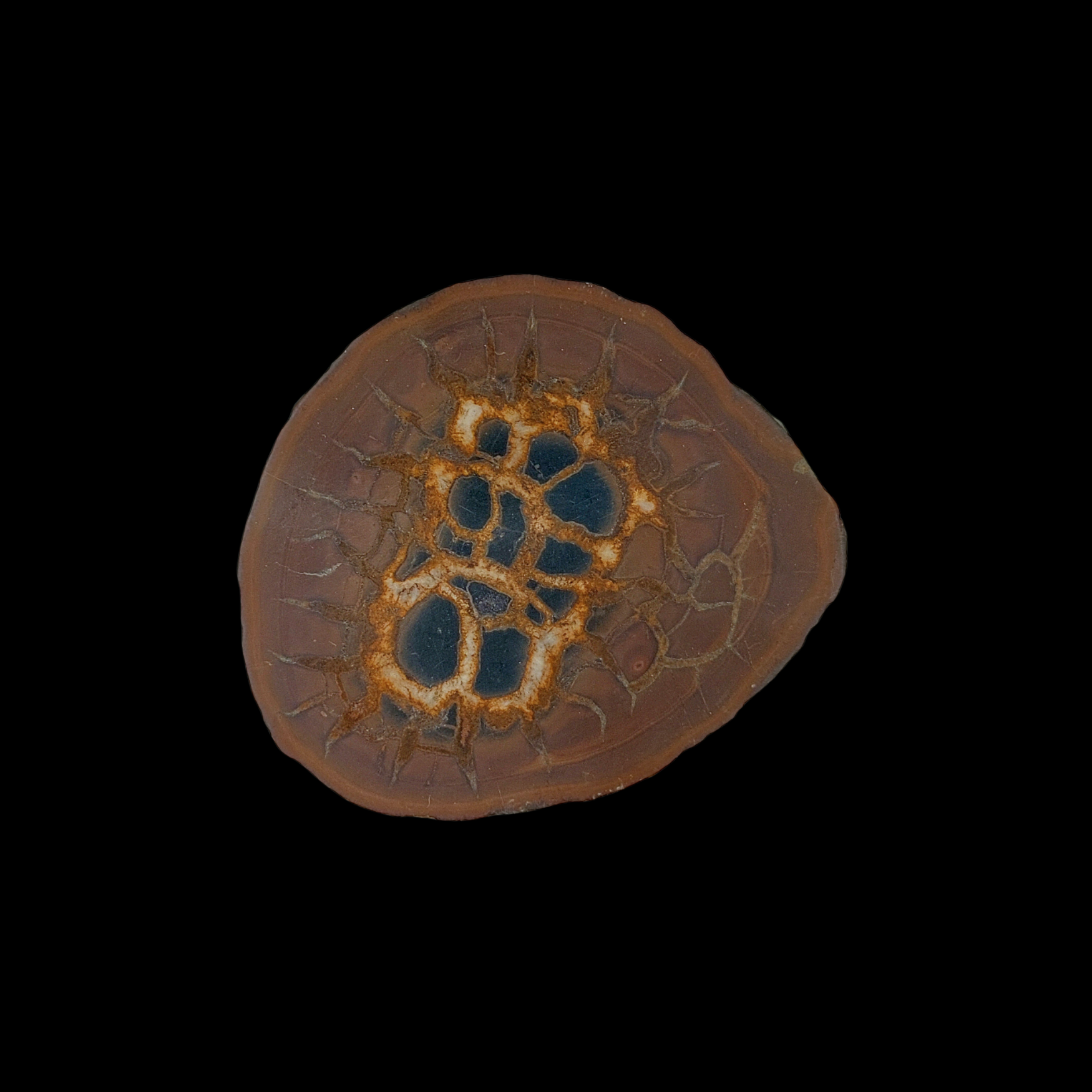 Natural Desert Septaria “Dragon Stone”, 125 gr - preview photo 1123