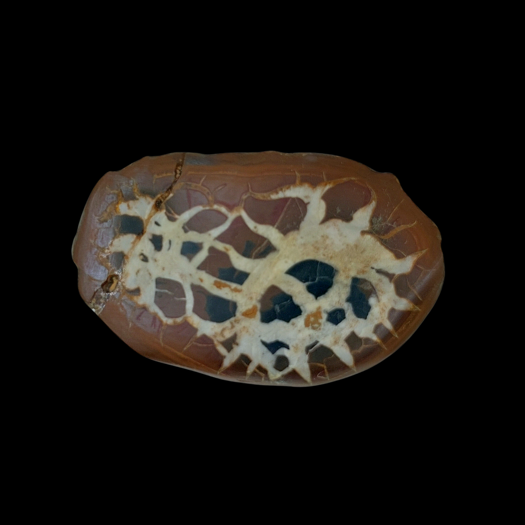 Natural Desert Septaria “Dragon Stone”, 133 gr - preview photo 1123