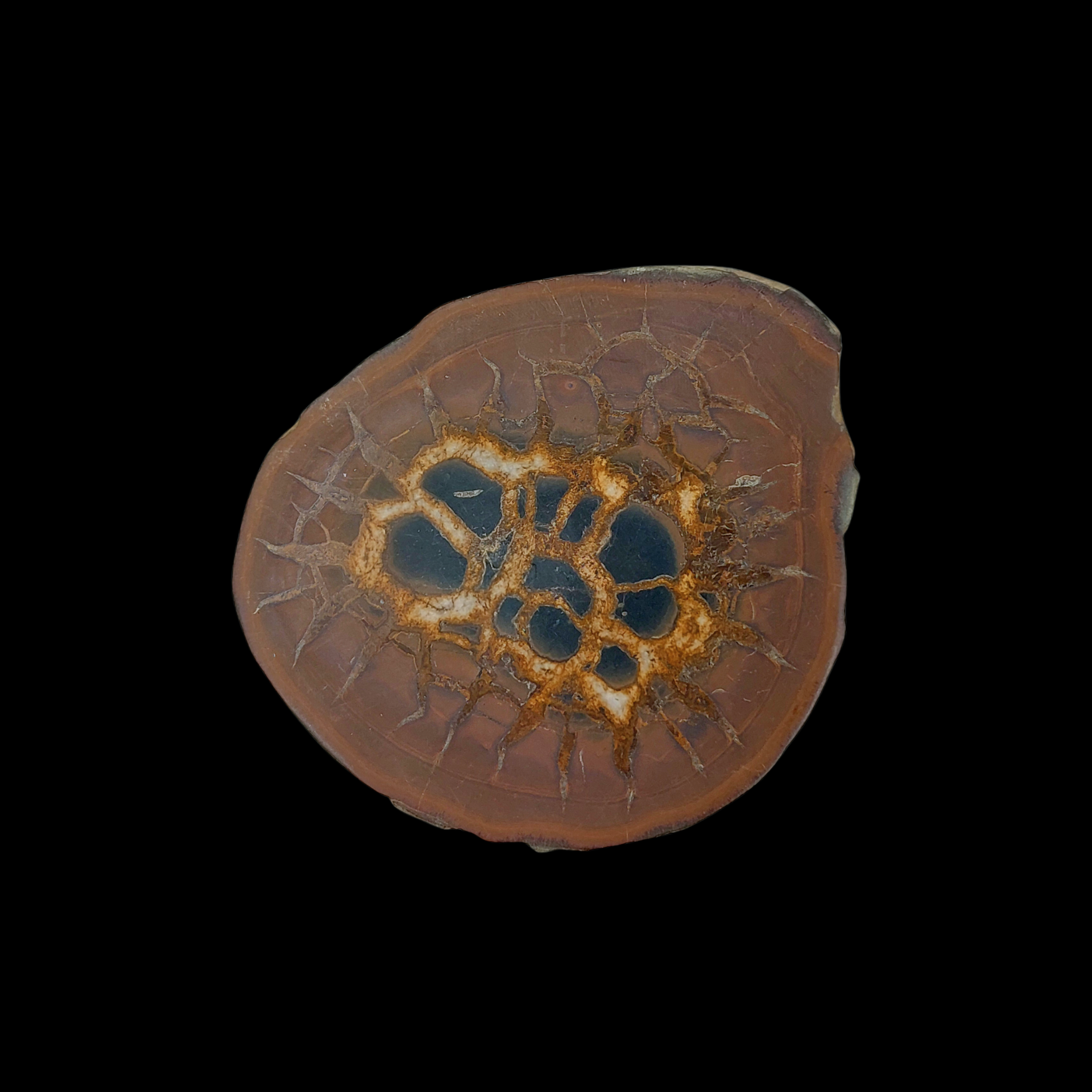 Natural Desert Septaria “Dragon Stone”, 153 gr - preview photo 1123