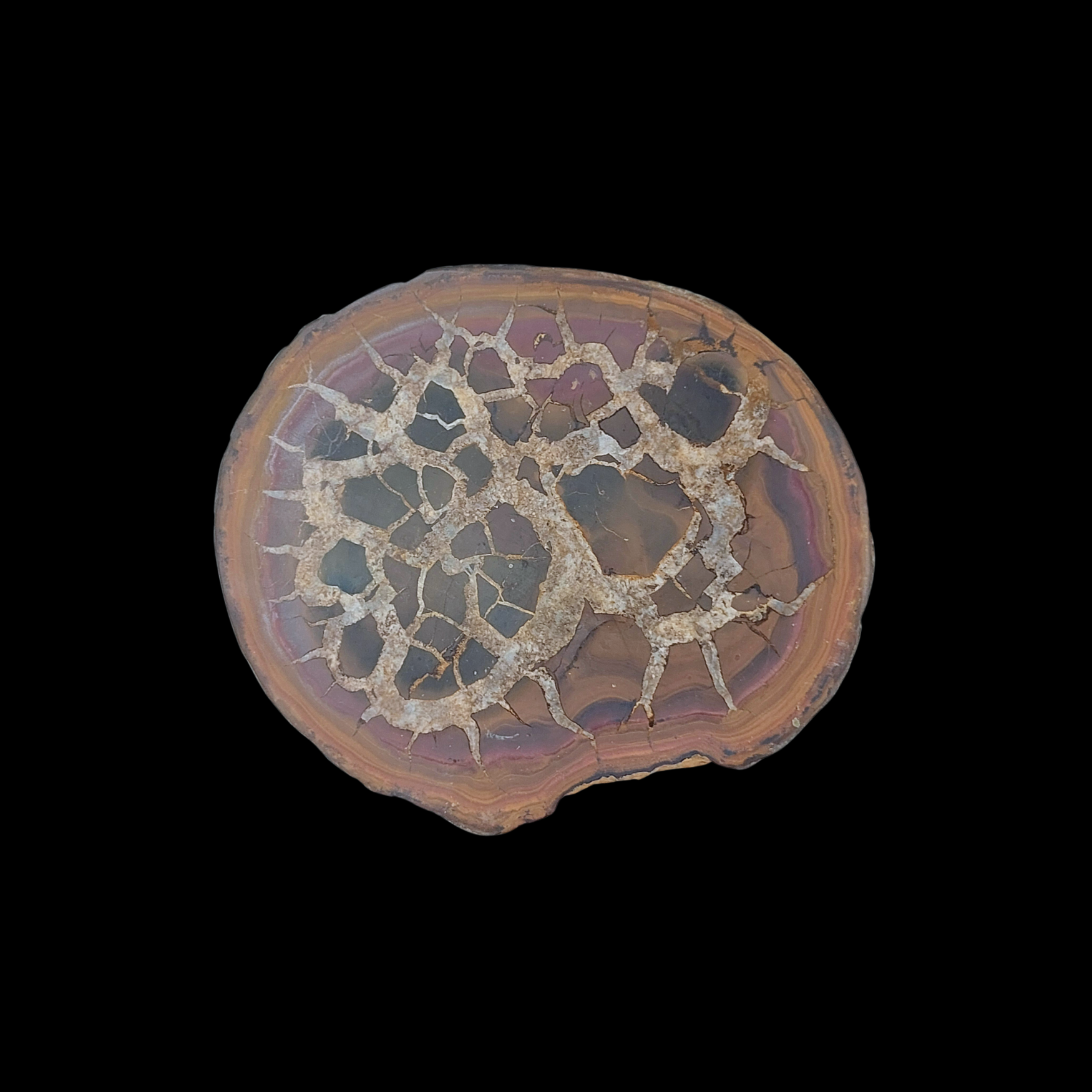 Natural Desert Septaria “Dragon Stone”, 155 gr - preview photo 1123