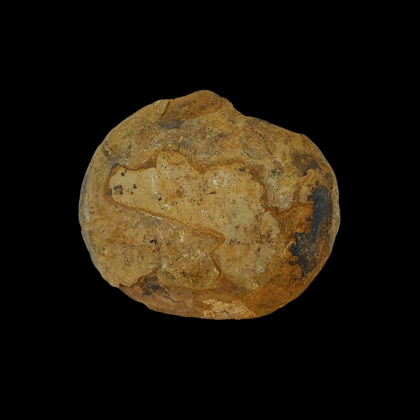 Natural Desert Septaria “Dragon Stone”, 155 gr - preview photo 2123
