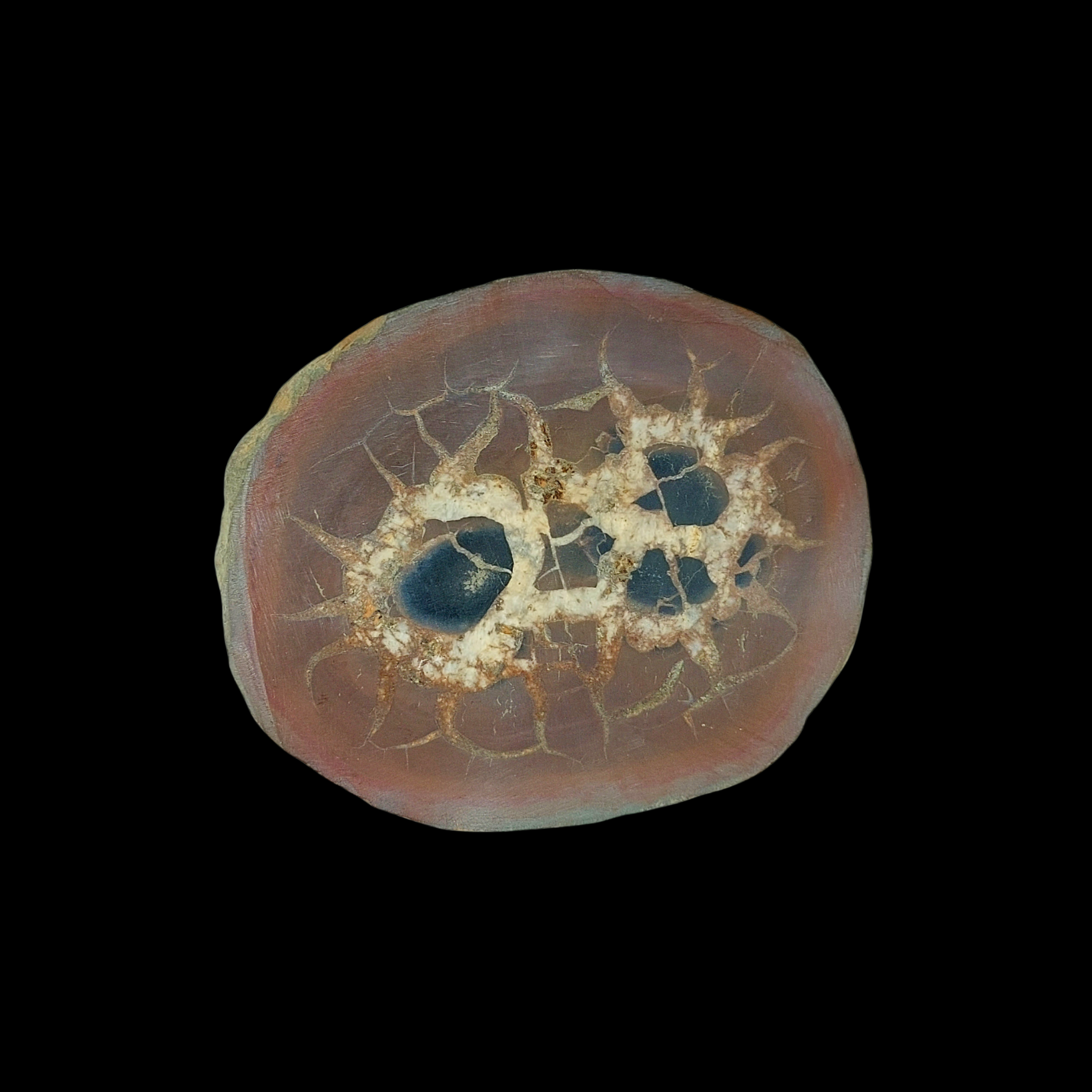 Natural Desert Septaria “Dragon Stone”, 187 gr - preview photo 1123