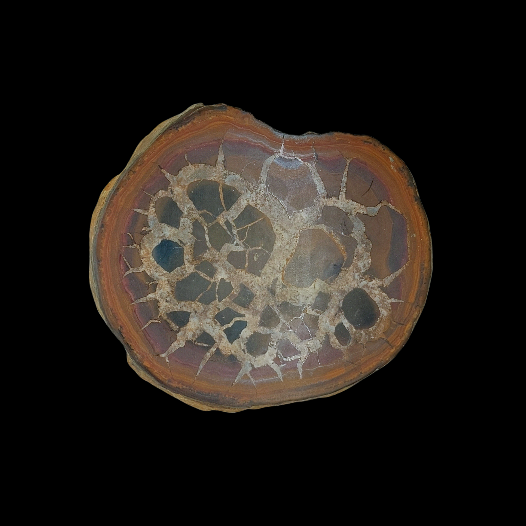 Natural Desert Septaria “Dragon Stone”, 238 gr - preview photo 1123