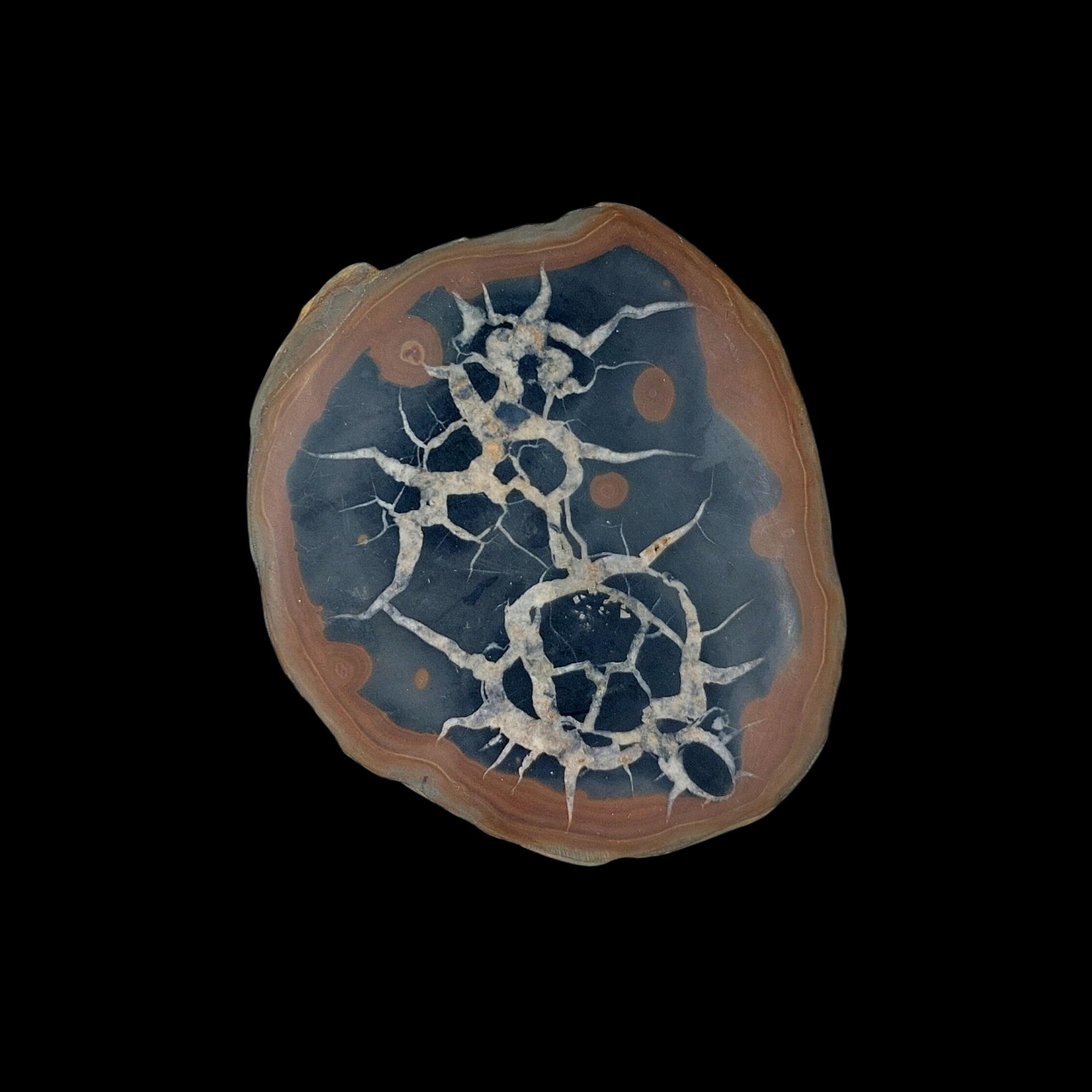 Natural Desert Septaria “Dragon Stone”, 242 gr - preview photo 1123