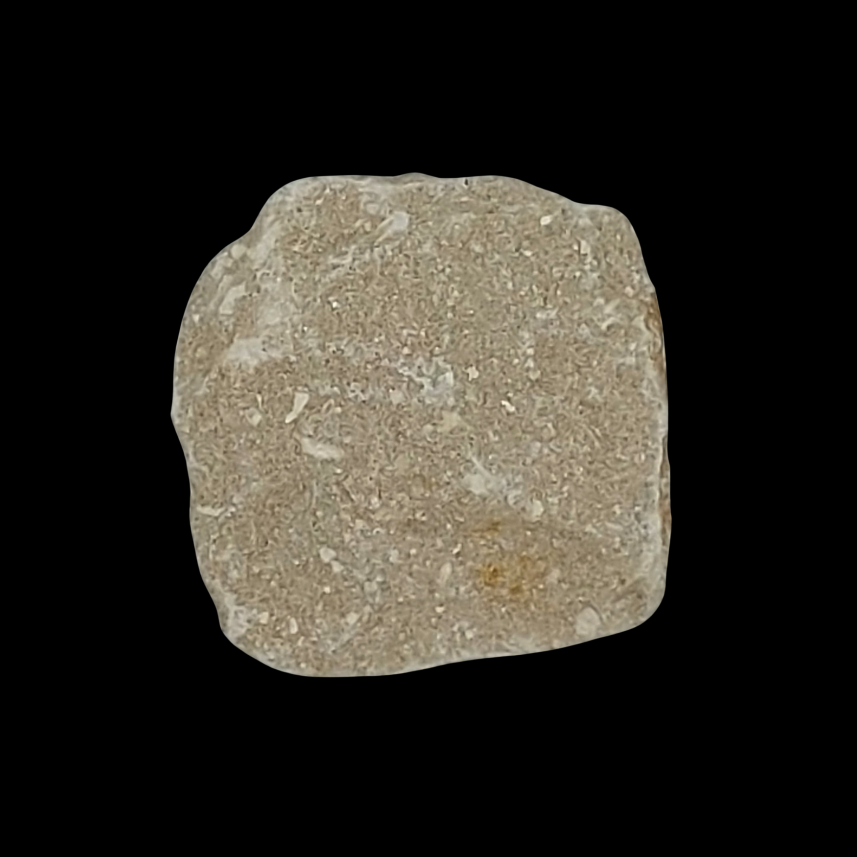 186 gr Plate of Fossilised Otodus Shark's Tooth - preview photo 2123