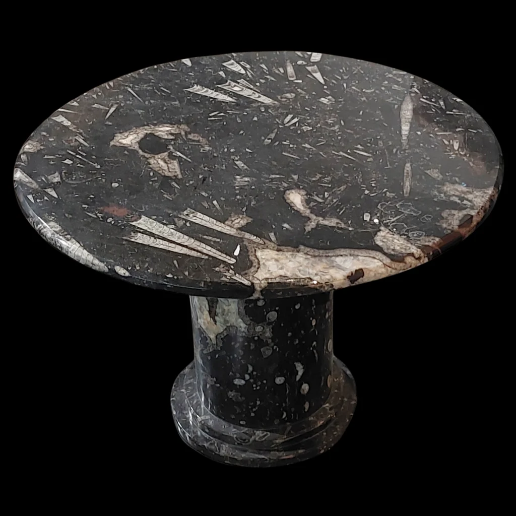 Orthoceras Fossil Marble Table from the Paleozoic Era