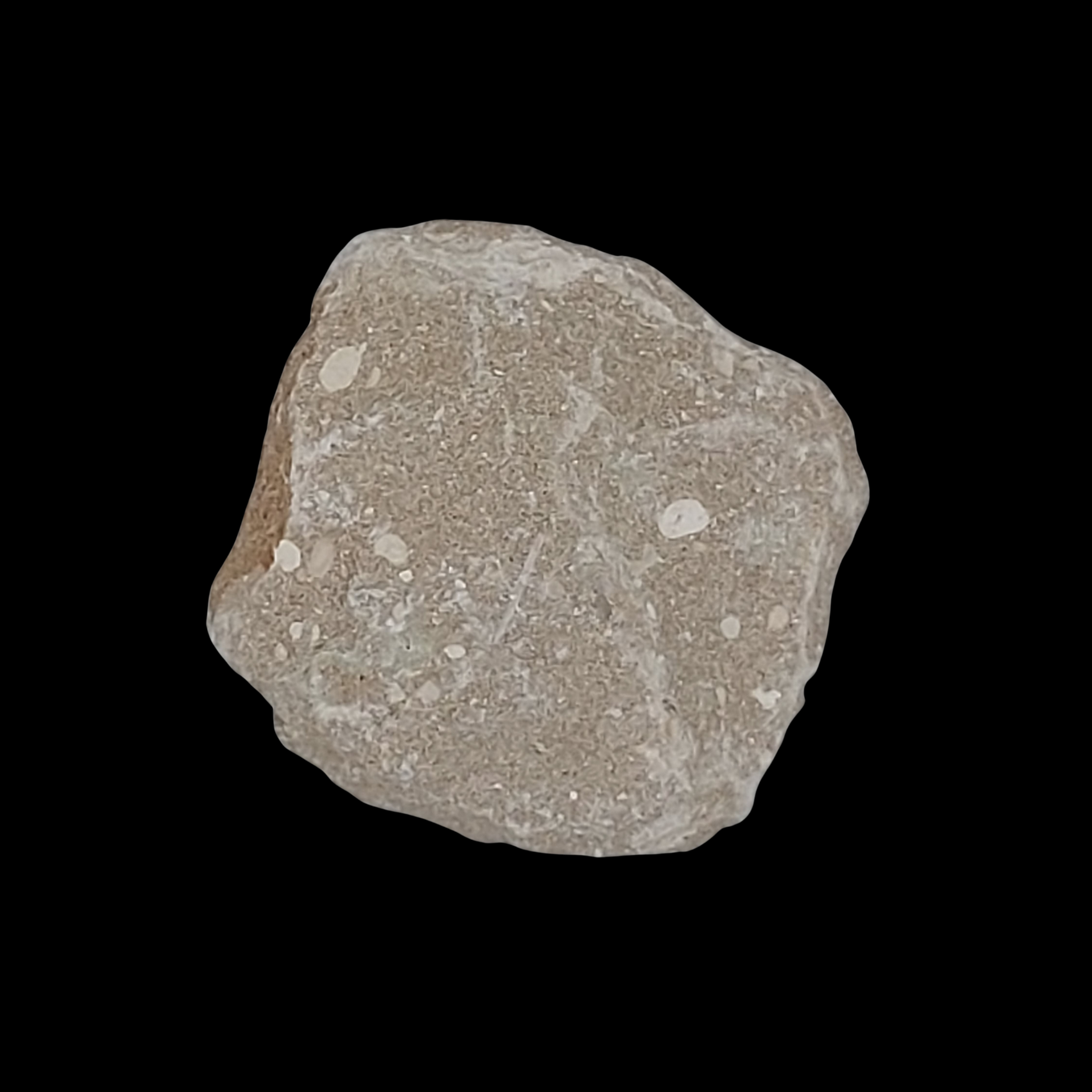 290 gr Plate of Fossilised Otodus Shark's Tooth - preview photo 2123