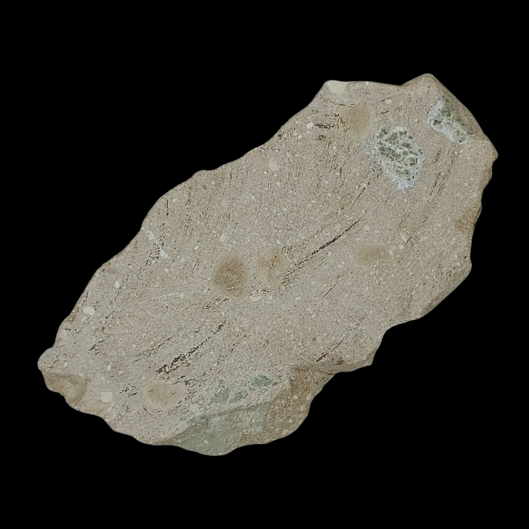 1 578 gr Plate of Fossilised Otodus Sharks Teeth - preview photo 2123