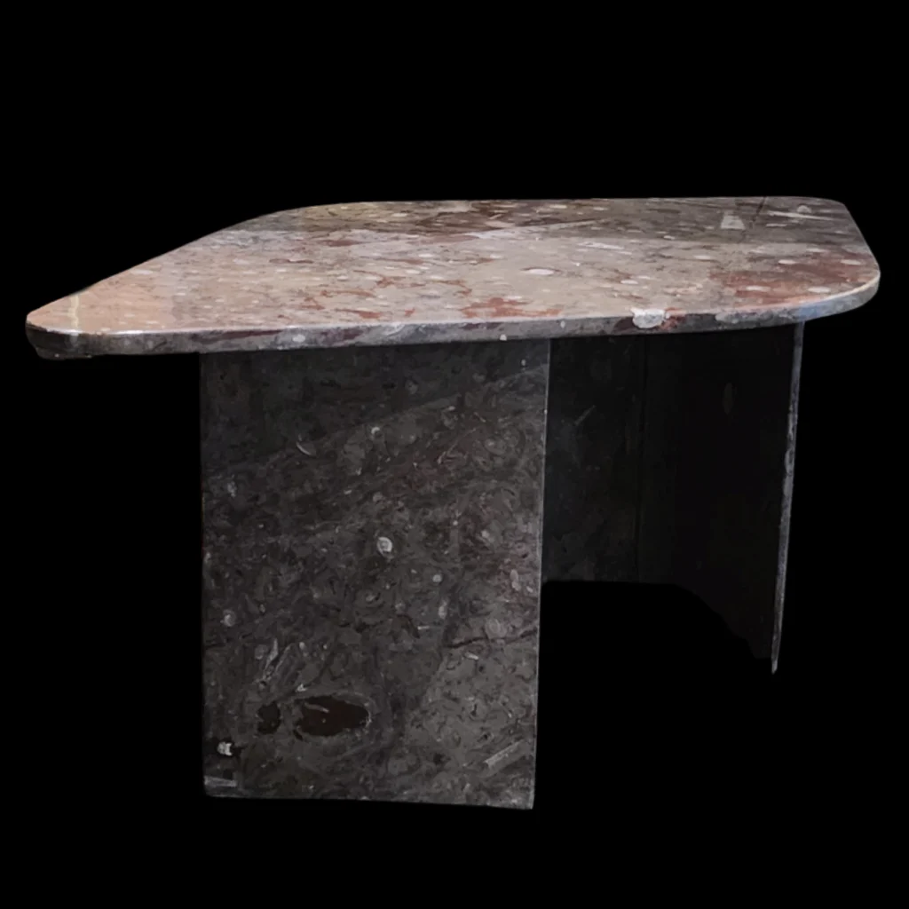 Marble Fossil Table with Orthoceras and Gastropod Fossils