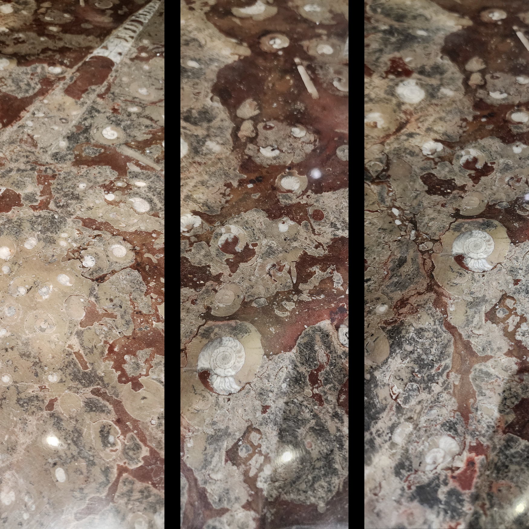 Marble Fossil Table with Orthoceras and Gastropod Fossils - preview photo 3123