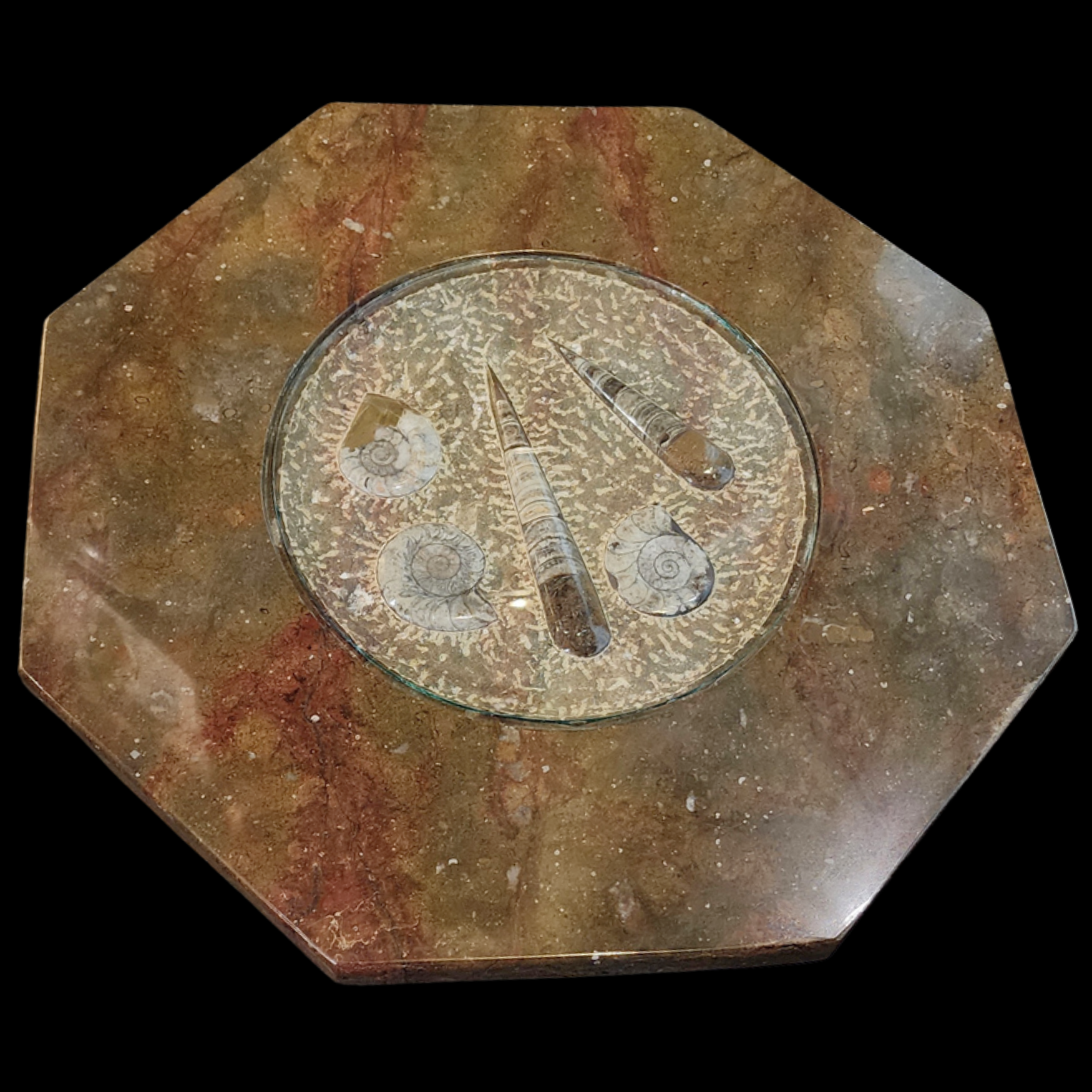Marble Fossil Table with Orthoceras and Ammonite Cephalopods - preview photo 2123