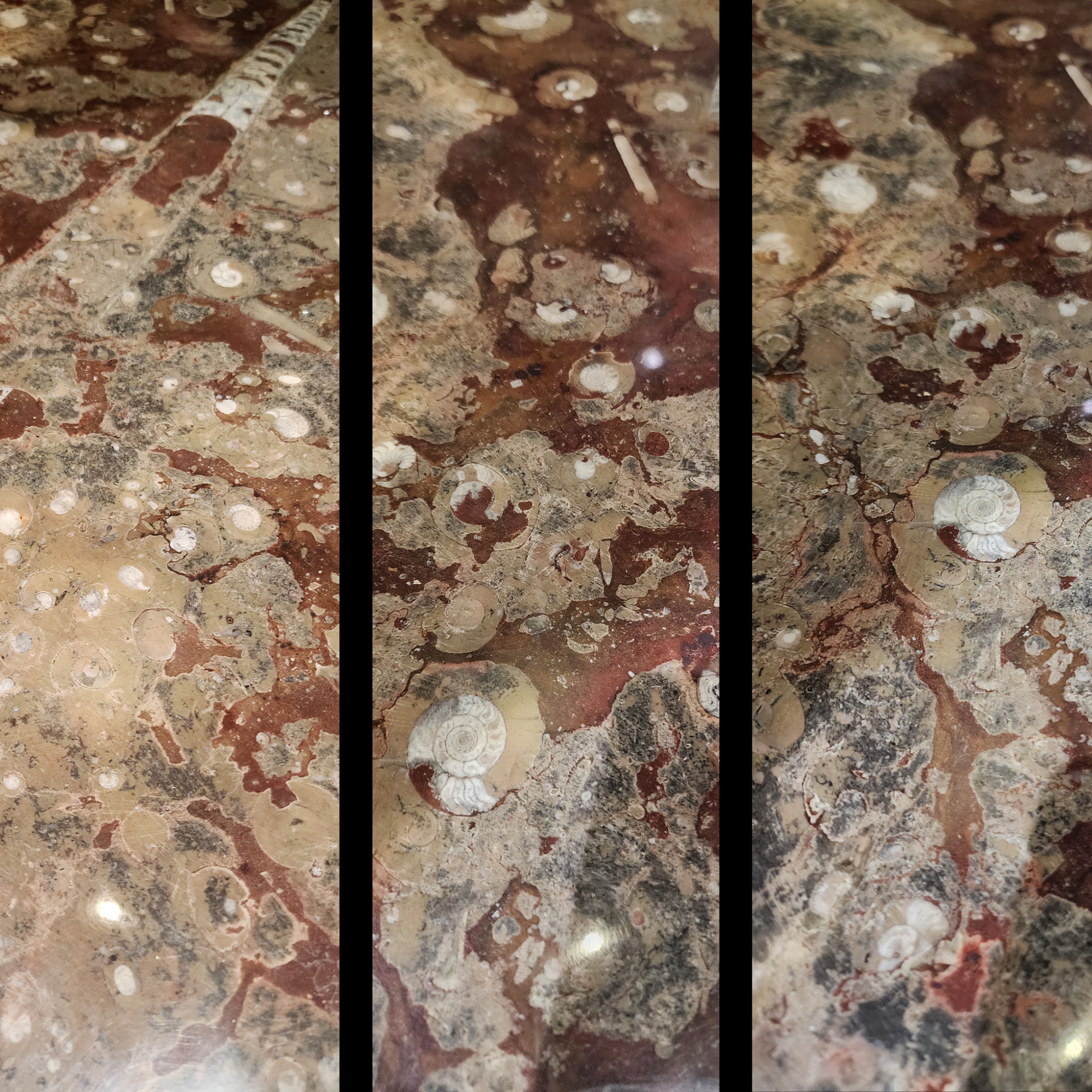 Marble Fossil Table with Orthoceras and Gastropod Fossils - preview photo 3123
