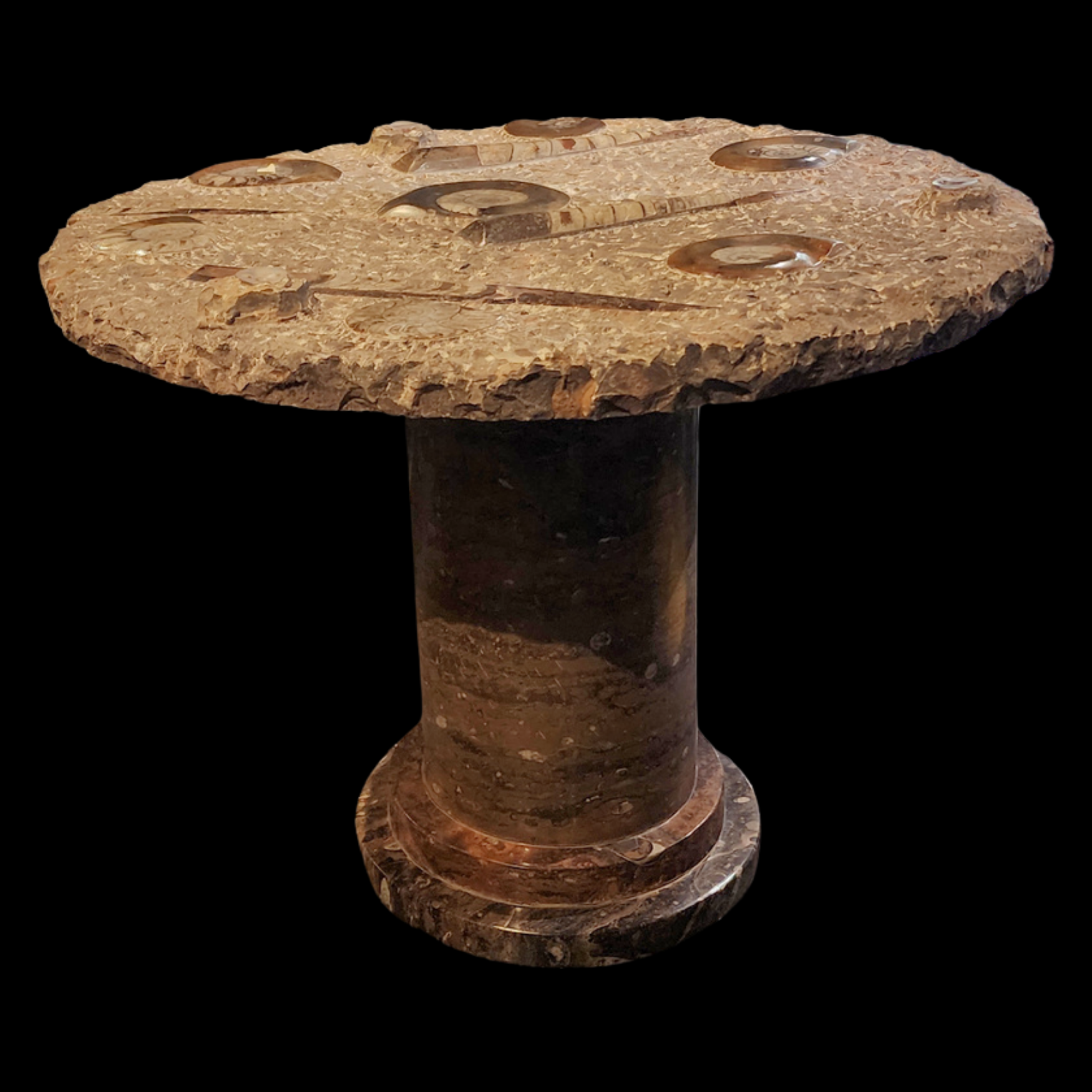 Paleozoic Fossil Marble Table with Orthoceras and Goniatite Cephalopods - preview photo 1123