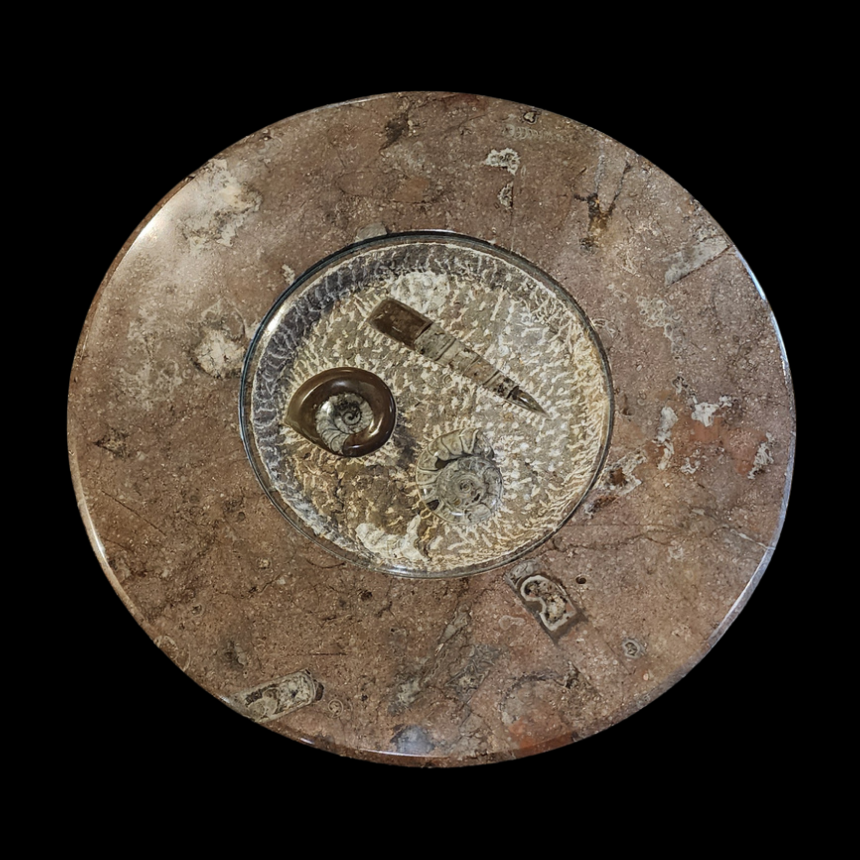 Marble Fossil Table with Orthoceras and Ammonite Cephalopods - preview photo 2123