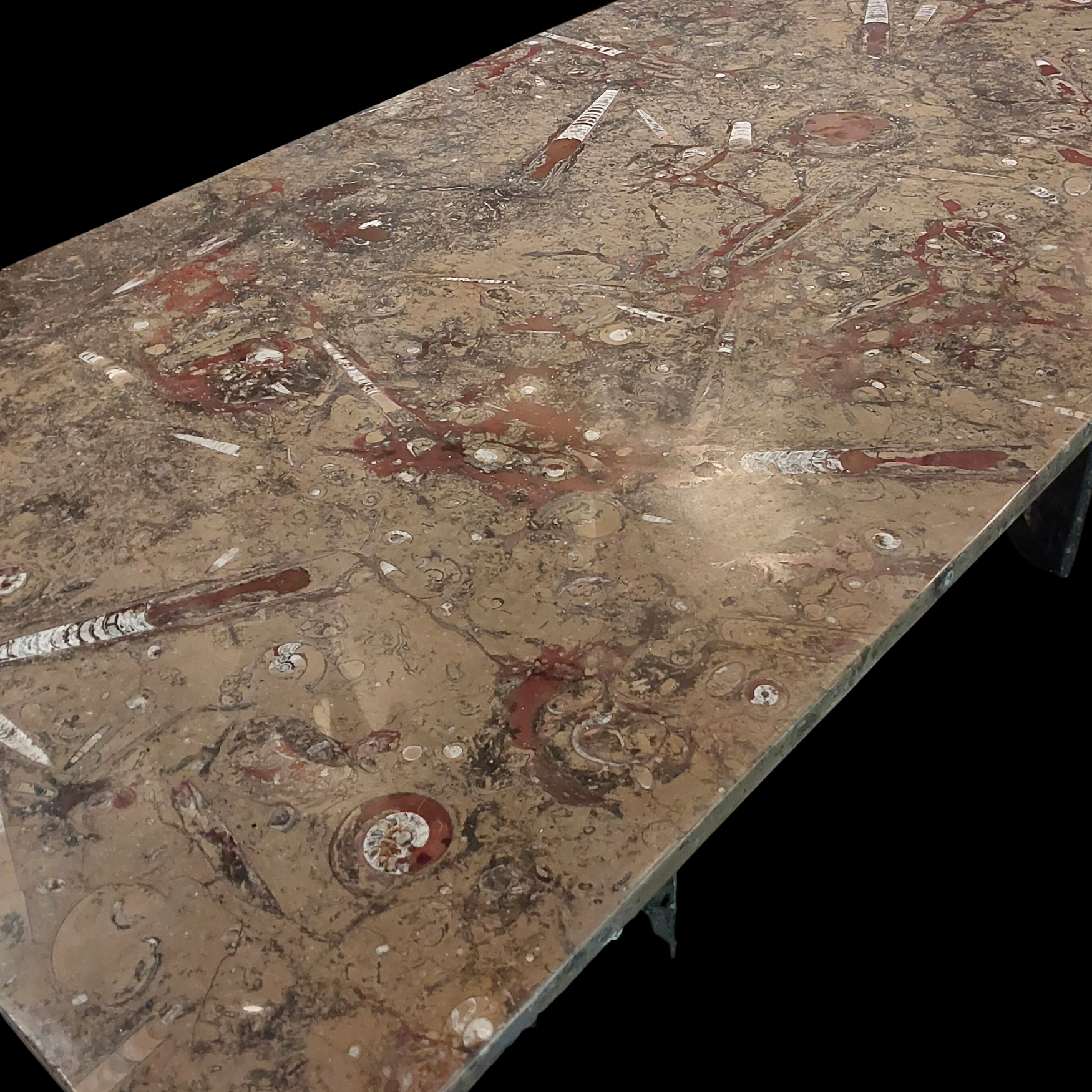 Marble Fossil Table with Orthoceras and Gastropod Fossils - preview photo 3123