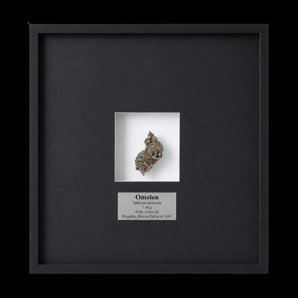 7,48 gr Omolon Pallasite meteorite with Widmanstätten pattern, 4 bln years old