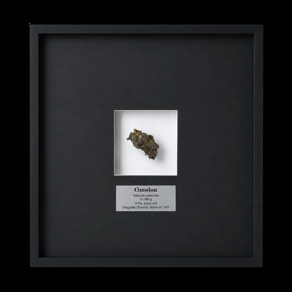 10,998 gr Omolon Pallasite meteorite with Widmanstätten pattern, 4 bln years old