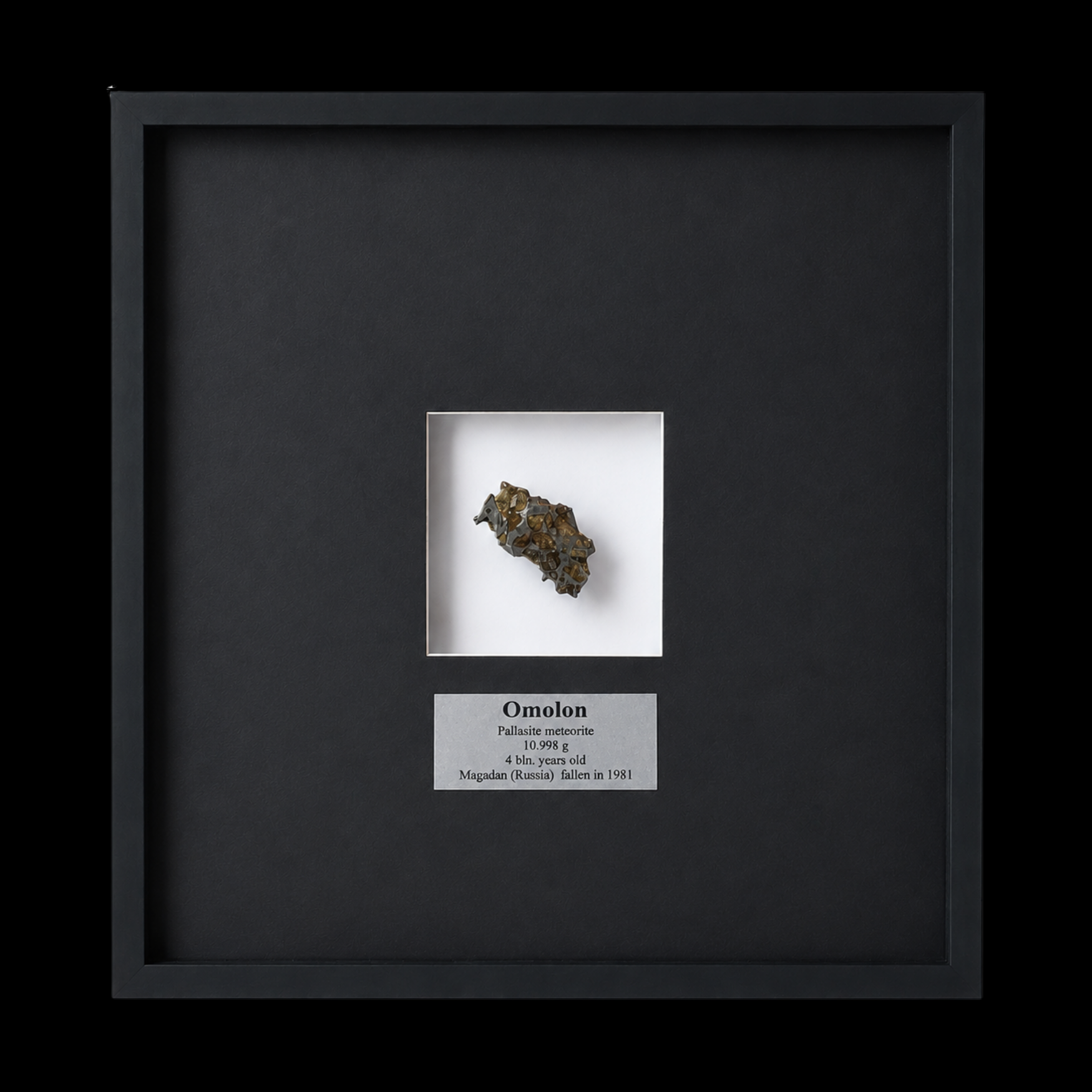 10,998 gr Omolon Pallasite meteorite with Widmanstätten pattern, 4 bln years old - preview photo 1123