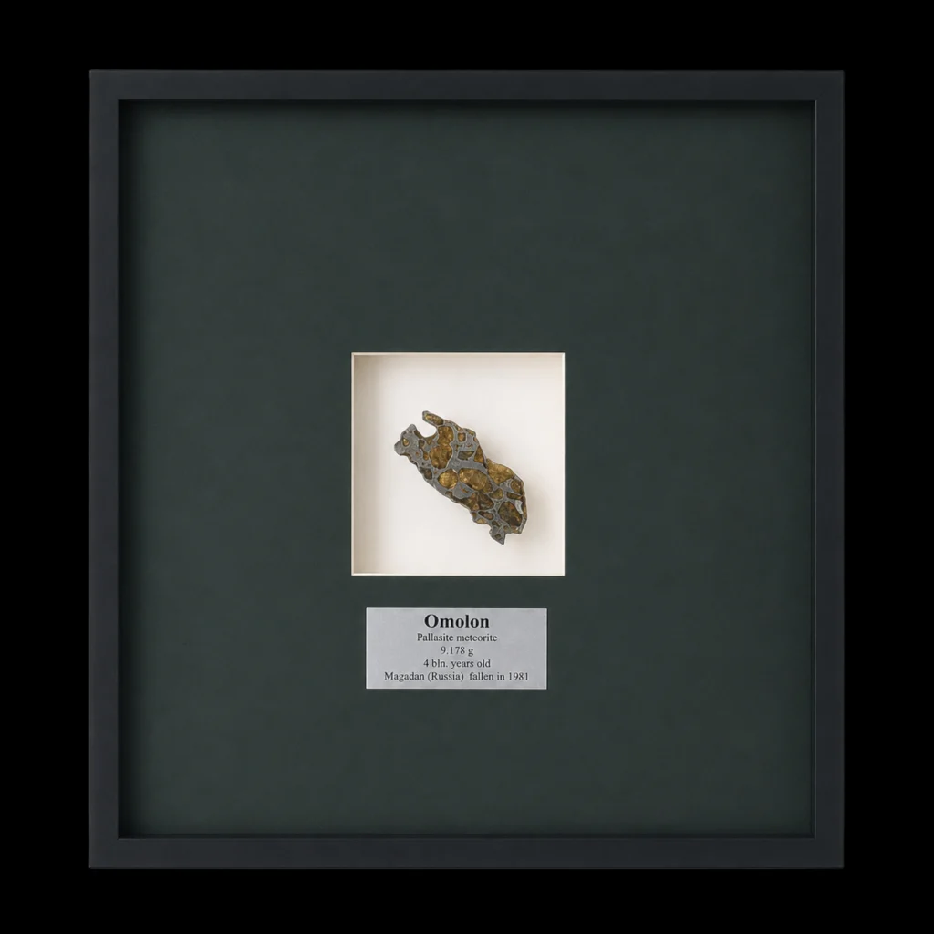 9,178 gr Omolon Pallasite meteorite with Widmanstätten pattern, 4 bln years old