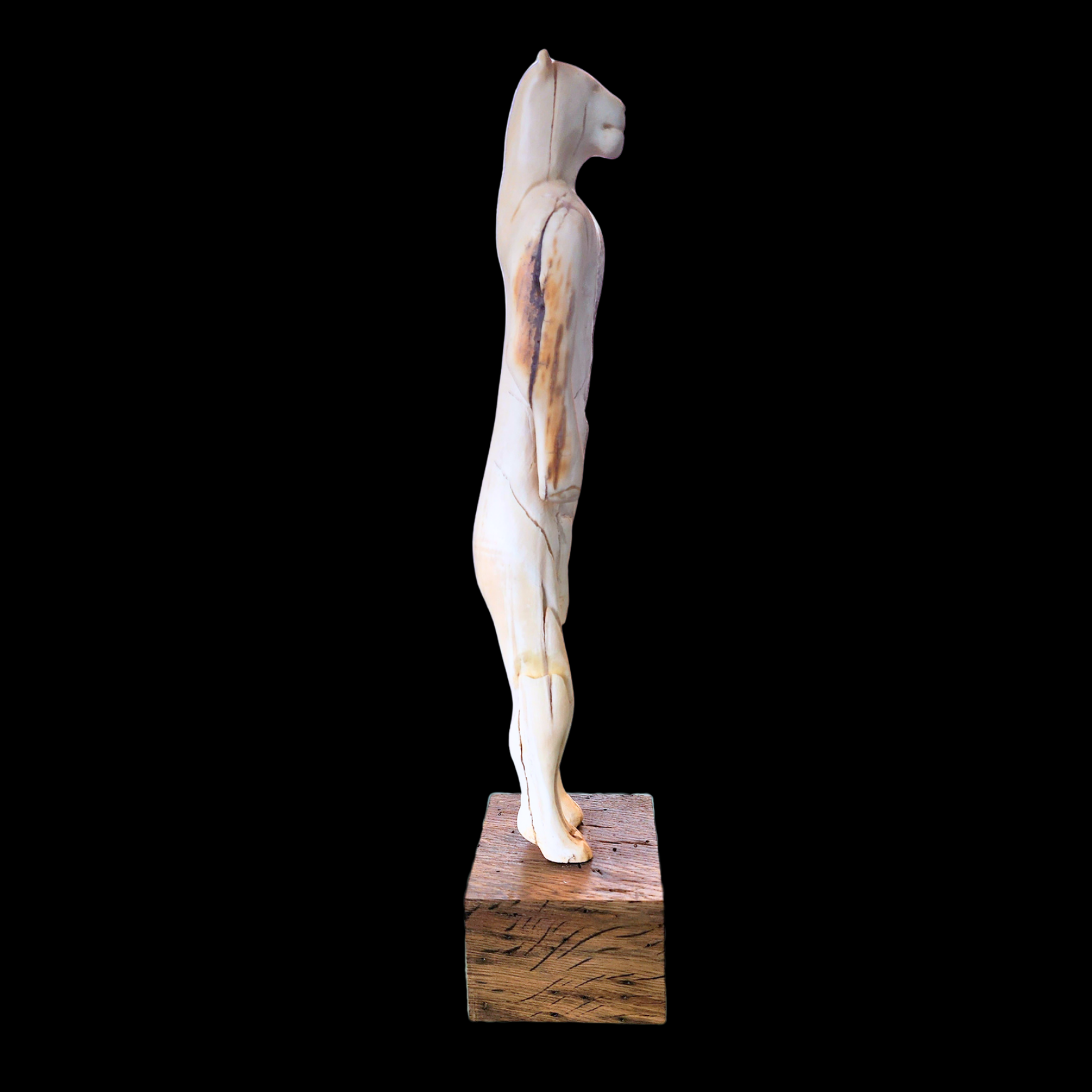 Cro-Magnon Figure in Mammoth Ivory on Bog Oak Base - preview photo 4123