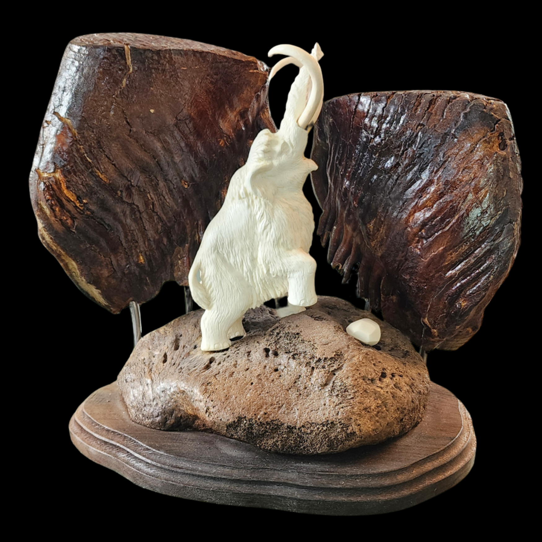 Woolly Mammoth Between Ancient Molars - preview photo 1123