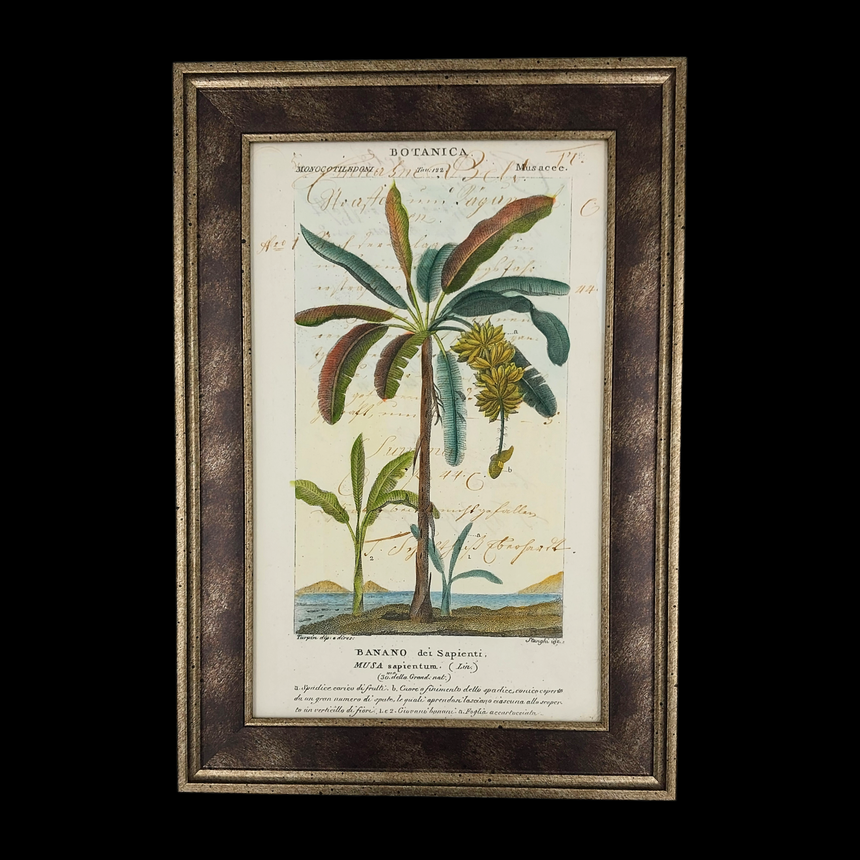 11 Painting on Ancient Manuscript – Banano dei Sapienti123