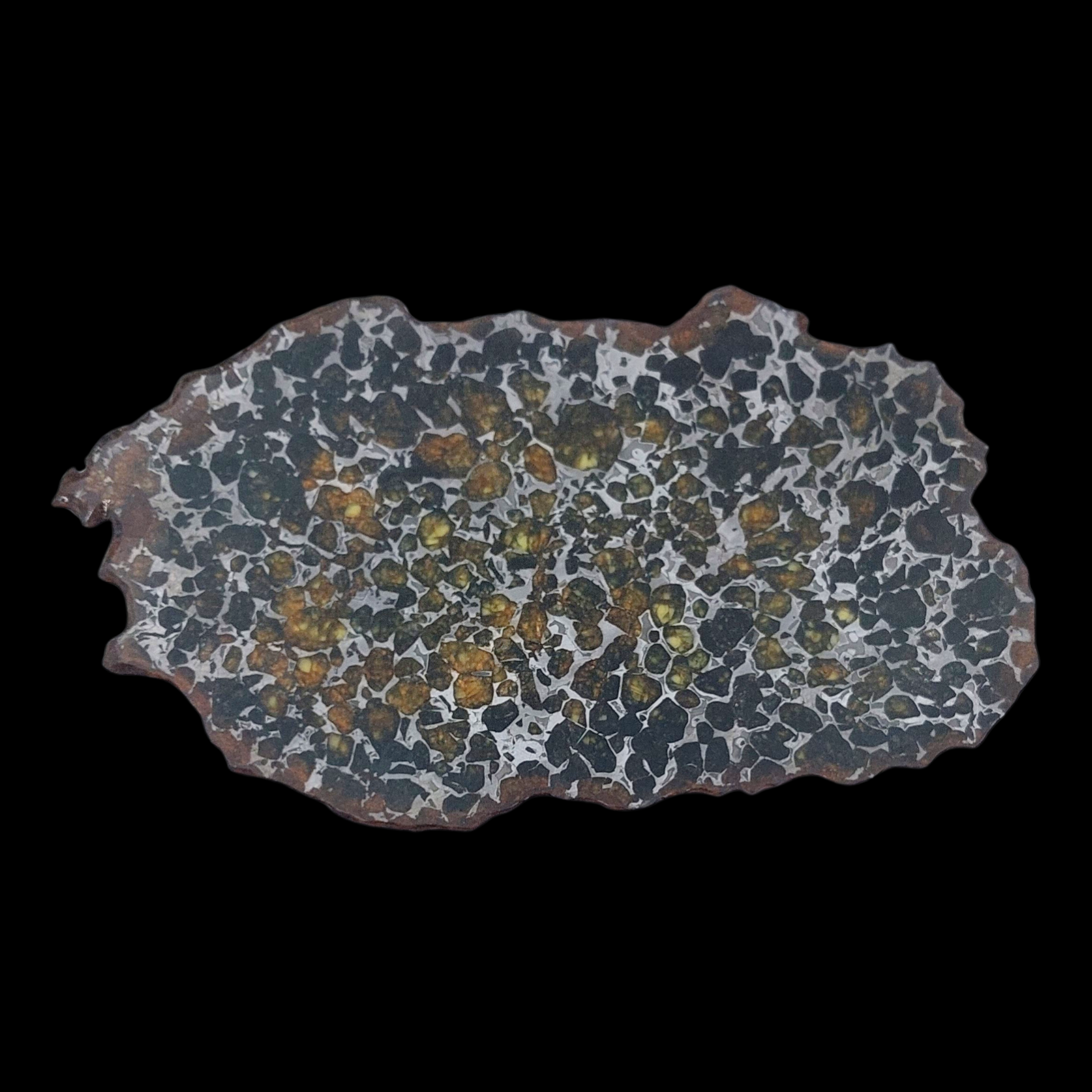 112 g Pallasite meteorite slice showcasing Widmanstätten pattern, 4 bln years old - preview photo 3123
