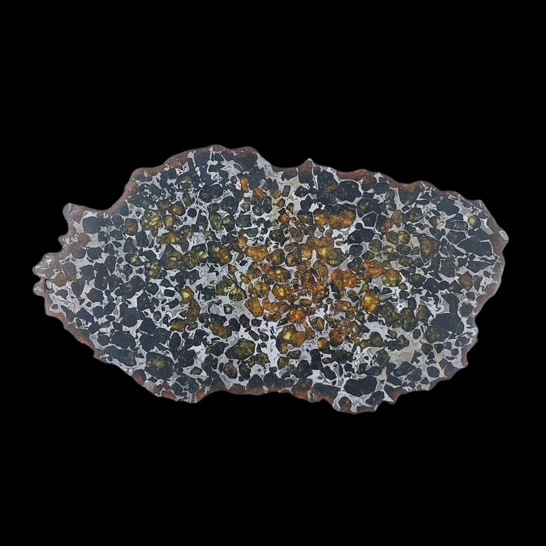 114 g Pallasite meteorite slice showcasing Widmanstätten pattern, 4 bln years old - preview photo 2123