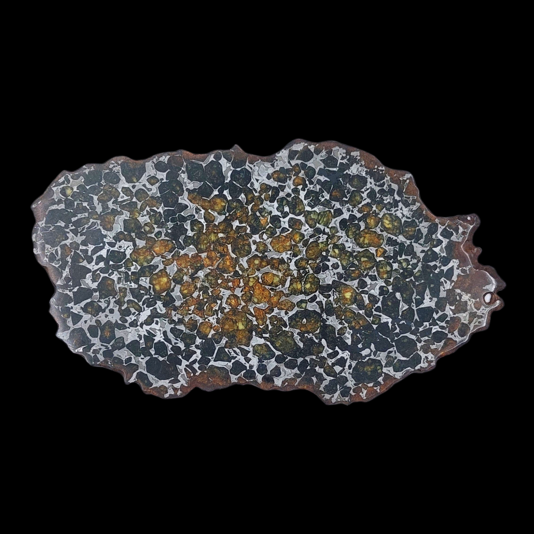114 g Pallasite meteorite slice showcasing Widmanstätten pattern, 4 bln years old - preview photo 3123