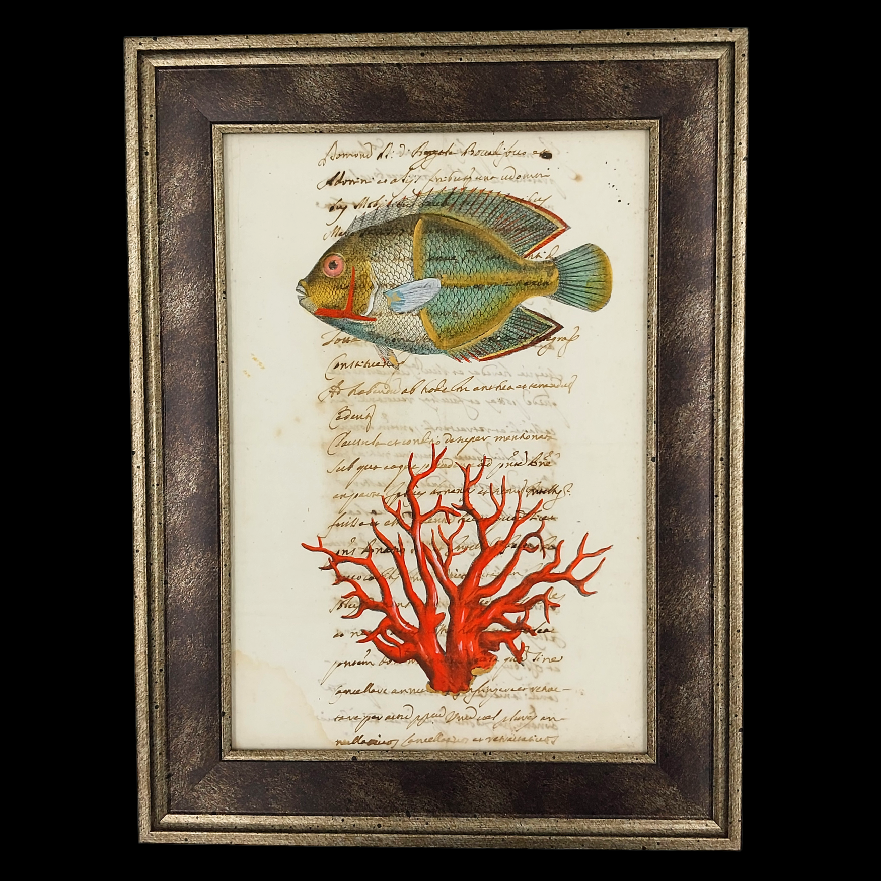 Painting – Marine Life on Antique Manuscript - preview photo 1123