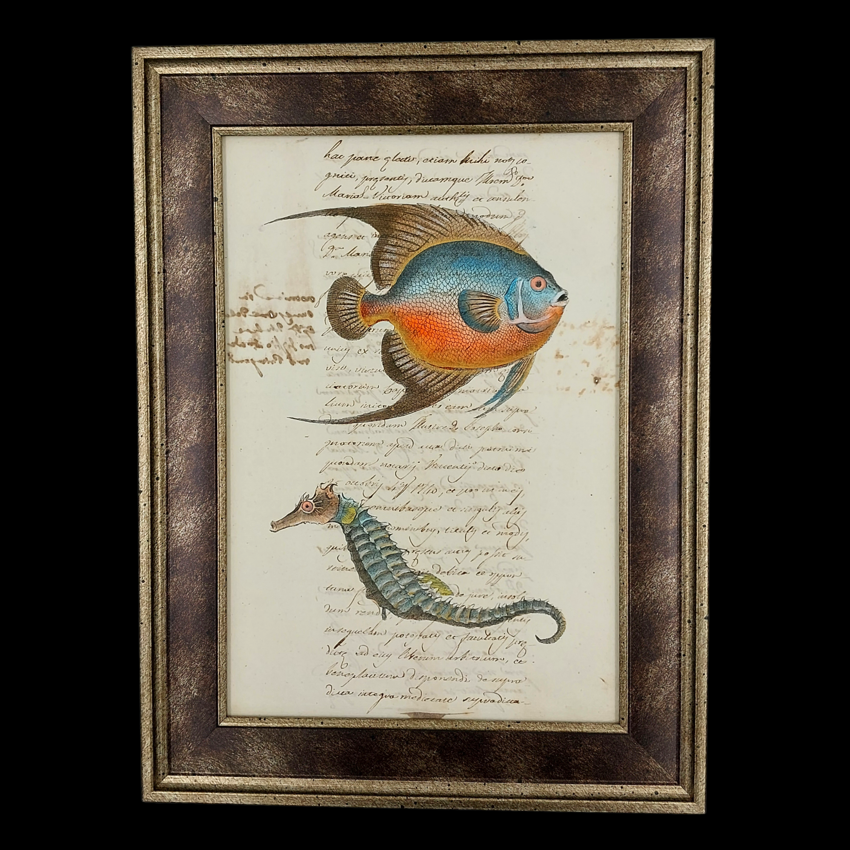 Painting on Ancient Paper – The Dorade and the Hippocampe - preview photo 1123