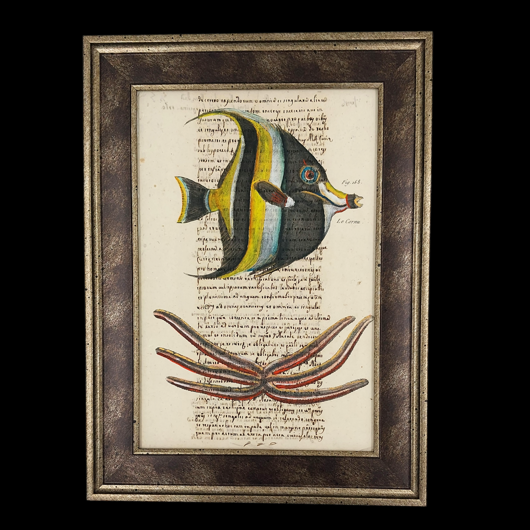 Painting on Ancient Manuscript – Marine Animals - preview photo 1123