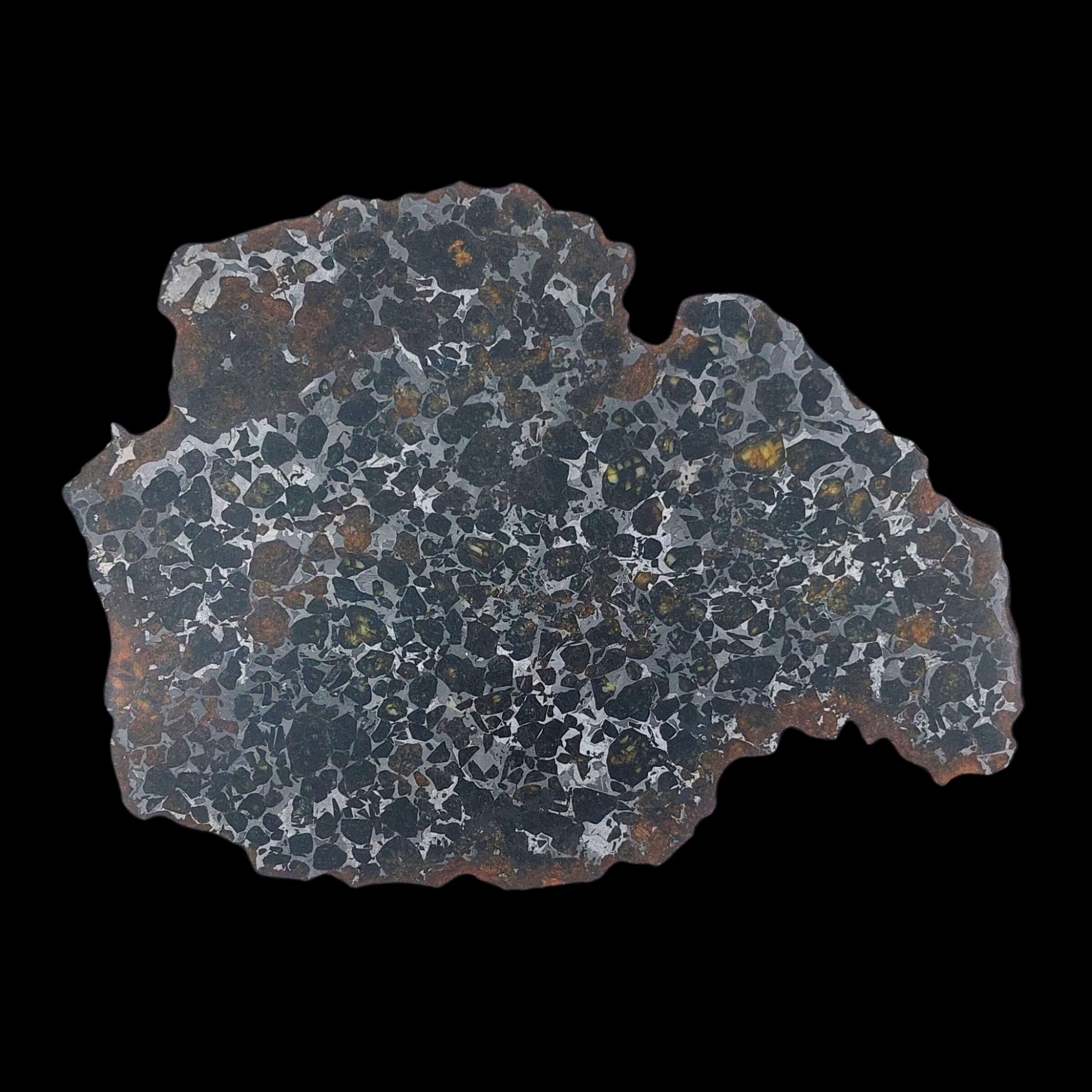 145 g Pallasite meteorite slice showcasing Widmanstätten pattern, 4 bln years old - preview photo 3123