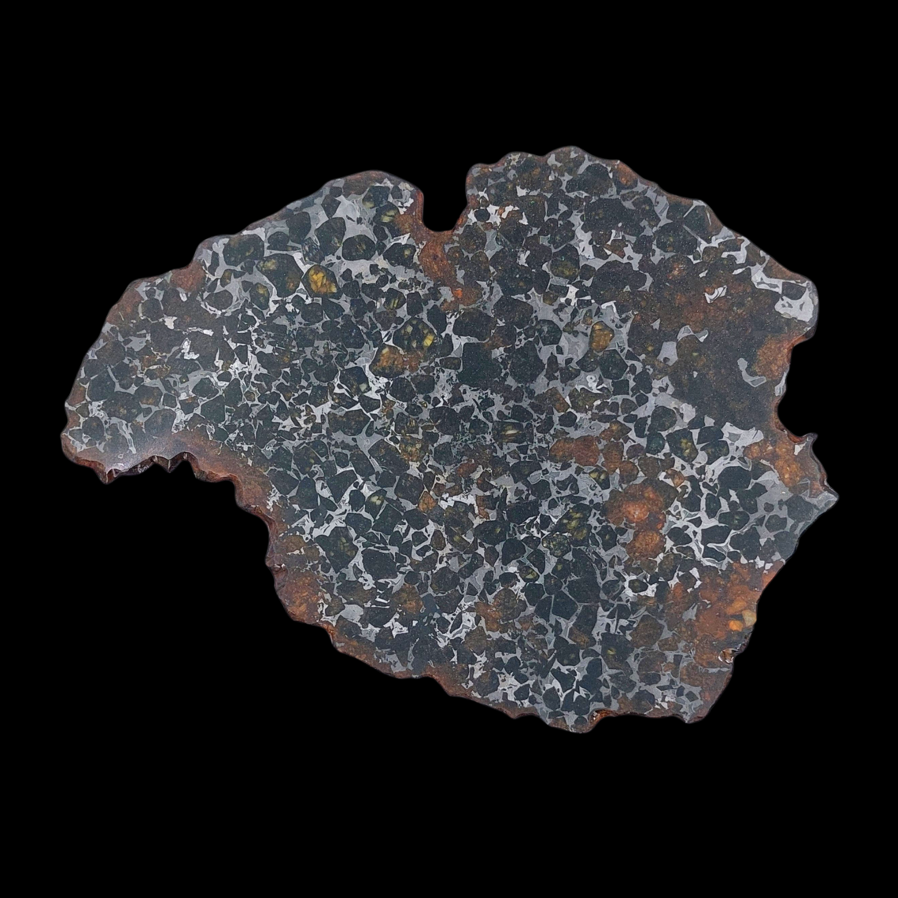 145 g Pallasite meteorite slice showcasing Widmanstätten pattern, 4 bln years old - preview photo 2123