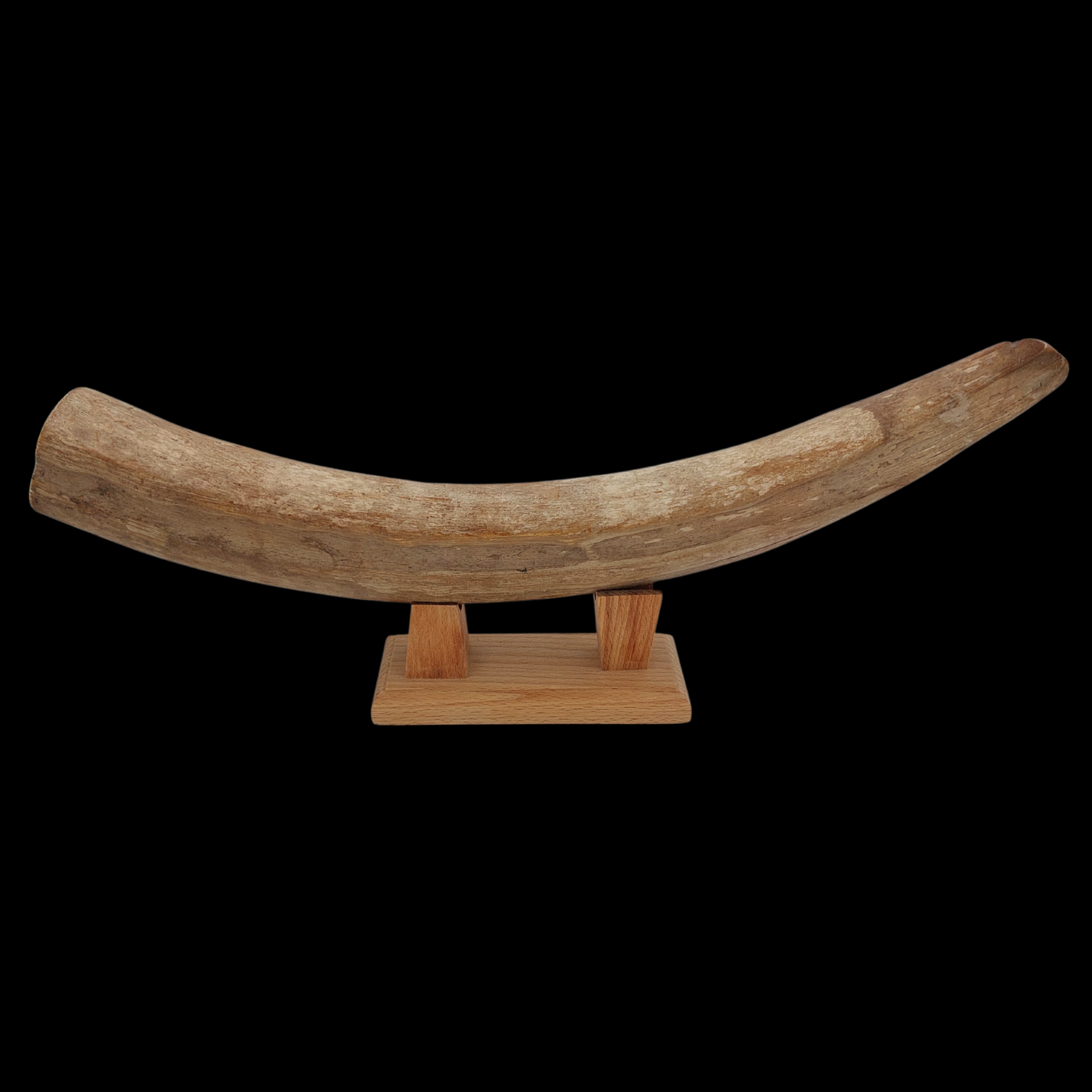 Seven Lucky Gods on Prehistoric Walrus Tusk - preview photo 2123