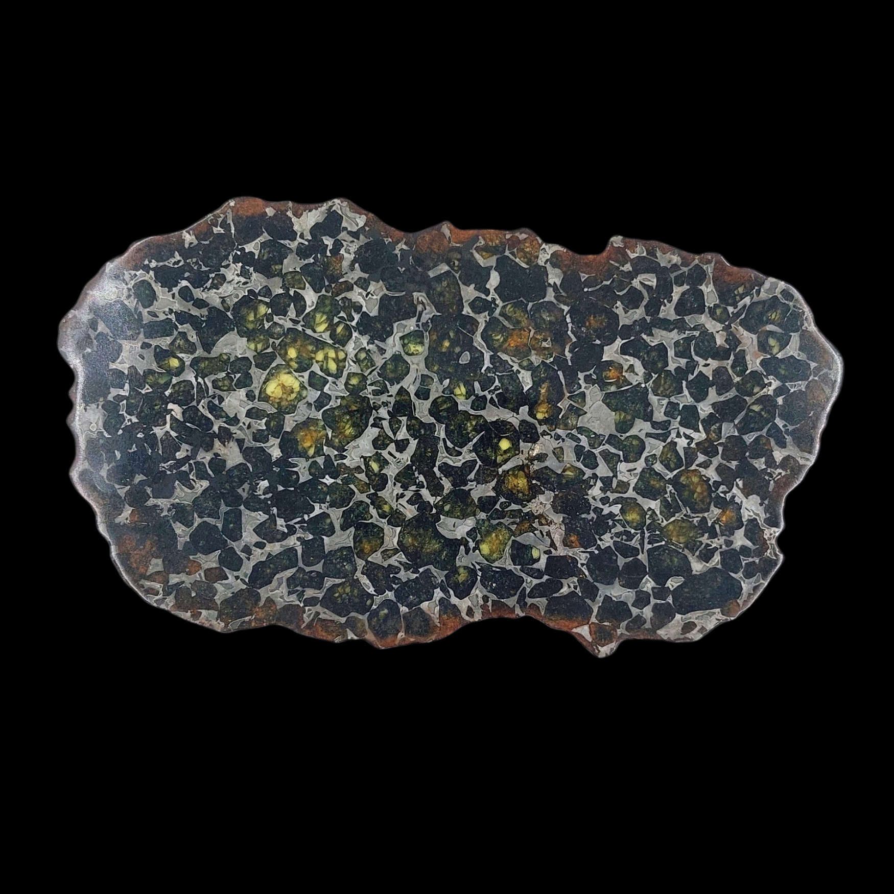 94 g Pallasite meteorite slice showcasing Widmanstätten pattern, 4 bln years old - preview photo 2123