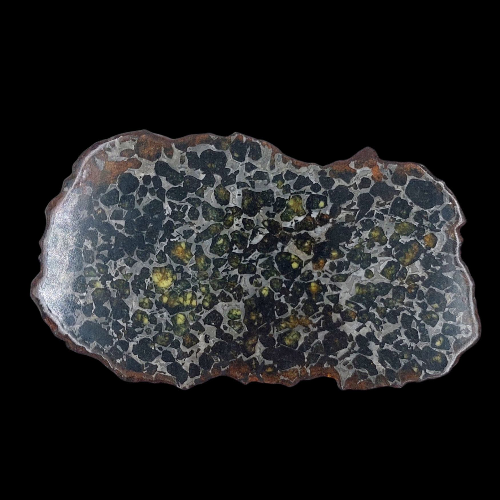 94 g Pallasite meteorite slice showcasing Widmanstätten pattern, 4 bln years old - preview photo 3123