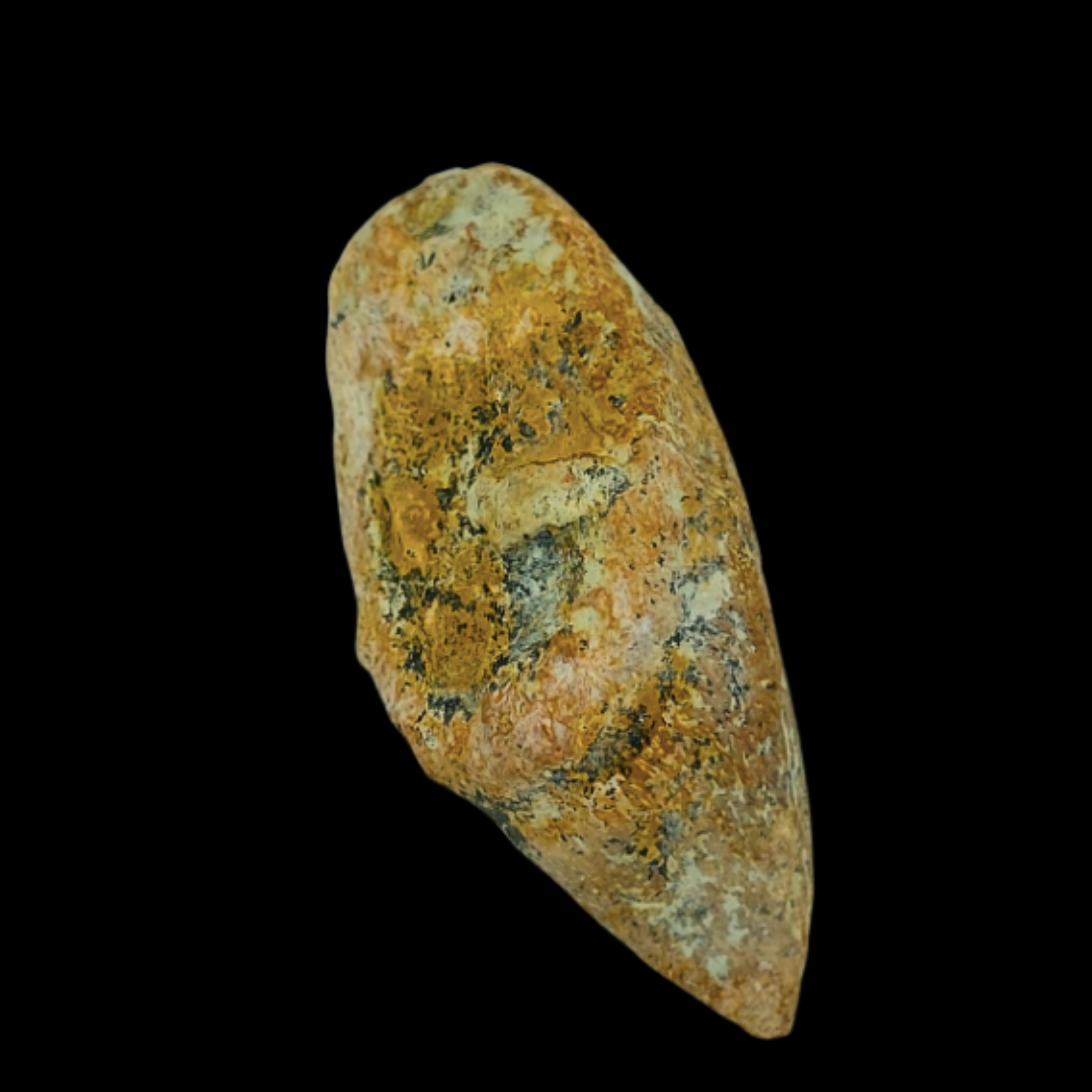 Fossilized Mosasaur Tooth in Natural Matrix - preview photo 2123