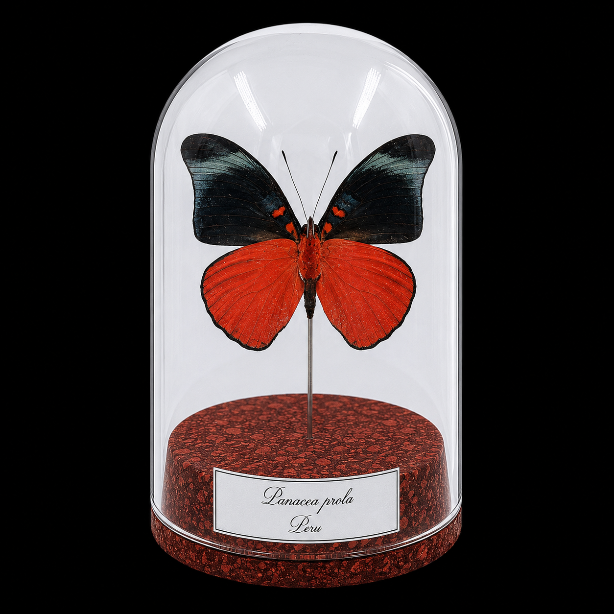 Panacea prola in Glass Cloche 12 cm, Peru - preview photo 1123