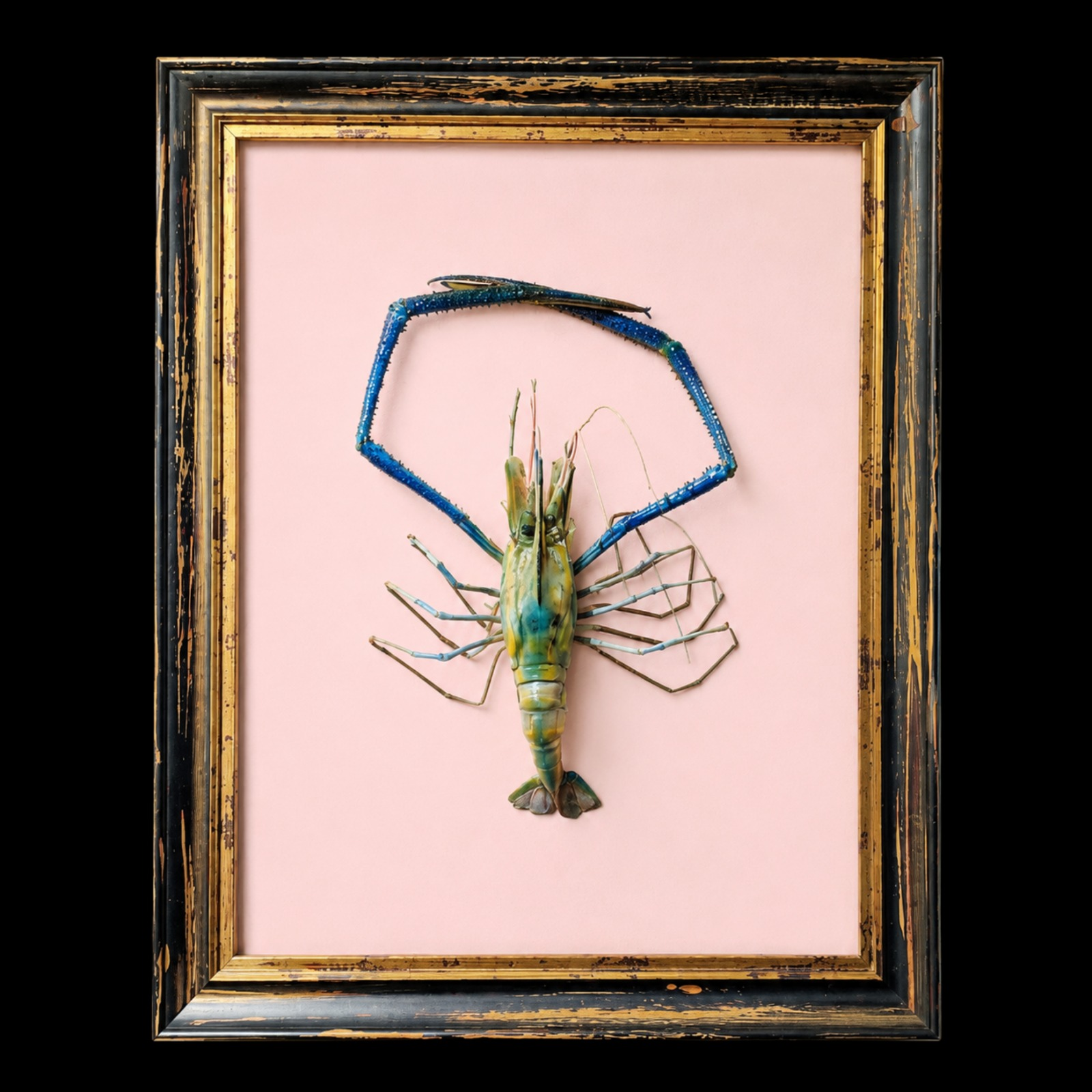 Giant Freshwater Prawn - The Largest Freshwater Crustacean in the World - preview photo 1123