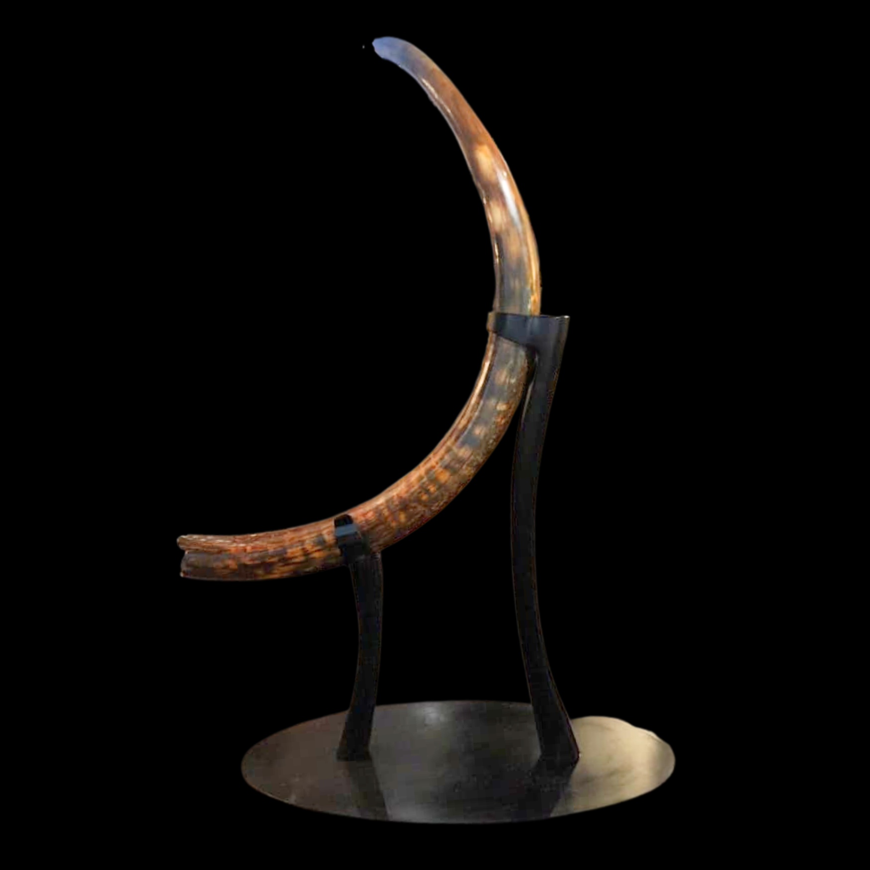 29.8 kg Woolly Mammoth Tusk - Relic of the Ice Age - preview photo 1123