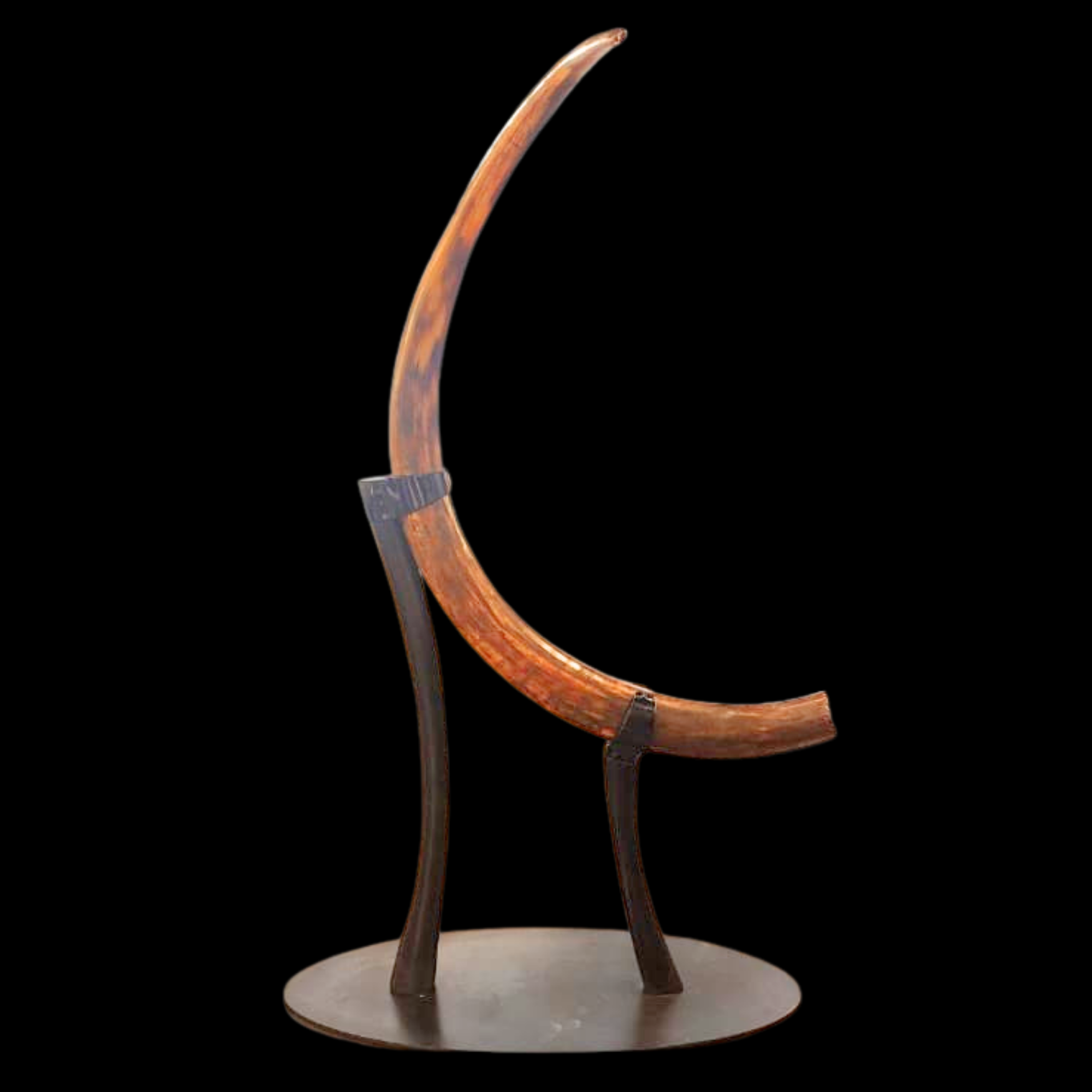 29.8 kg Woolly Mammoth Tusk - Relic of the Ice Age - preview photo 2123