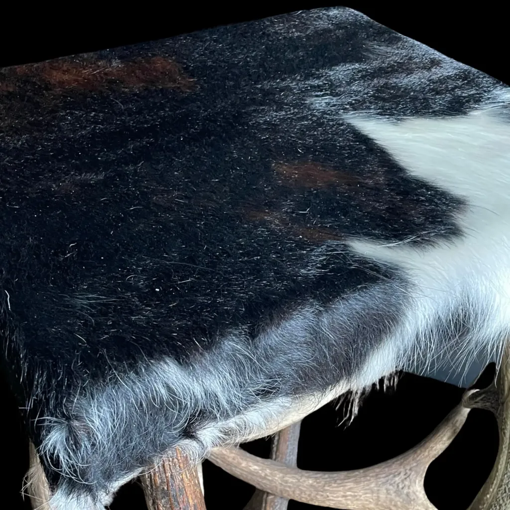 Antler Stool with Cowhide – A Fusion of Natural Beauty and Refined Craftsmanship - preview photo 3123